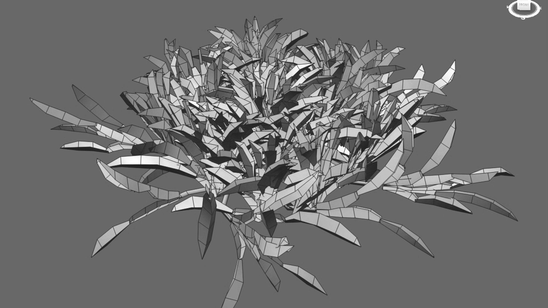 Axonopus compressus GrowFX 3D model_8