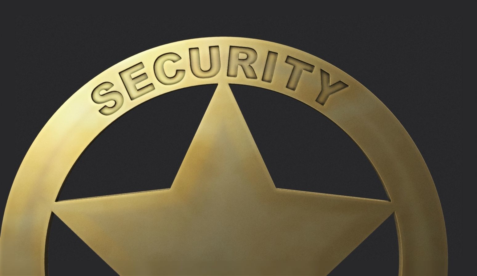 Security Officer Badge 3D print model_3