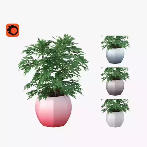 Wormwood - Pots in four colors 3D model
