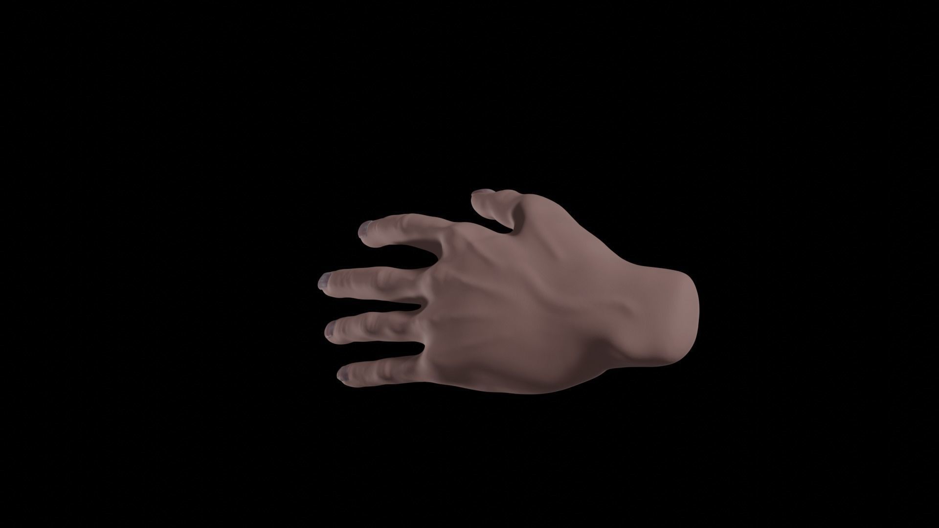 Realistic human hand model Free 3D model_5