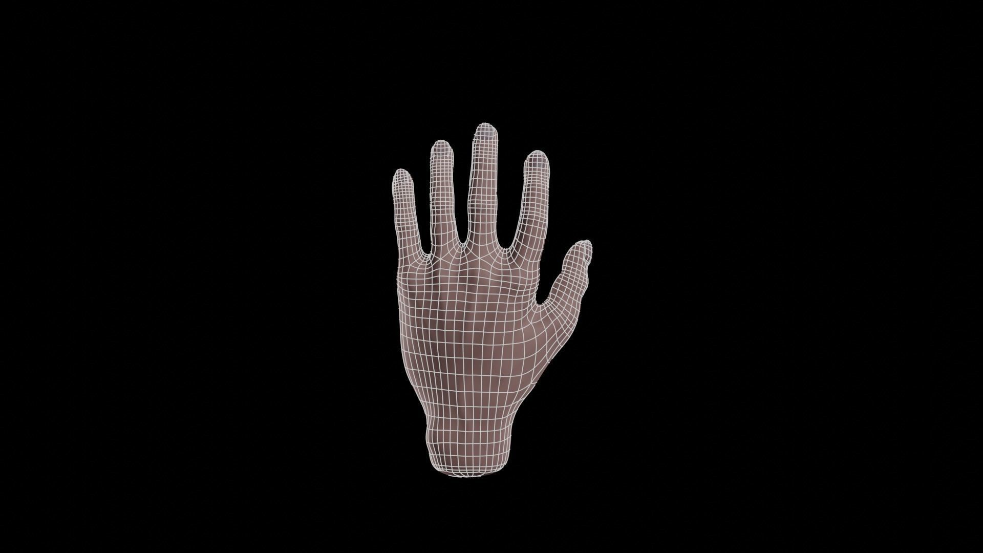 Realistic human hand model Free 3D model_8