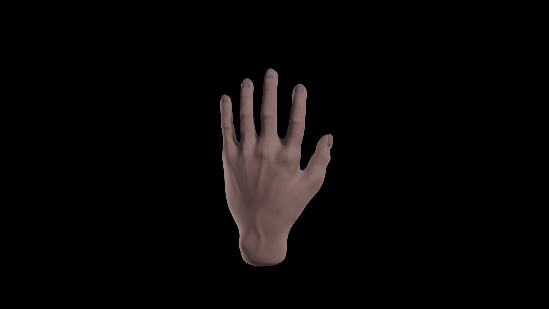 Realistic human hand model Free 3D model_12