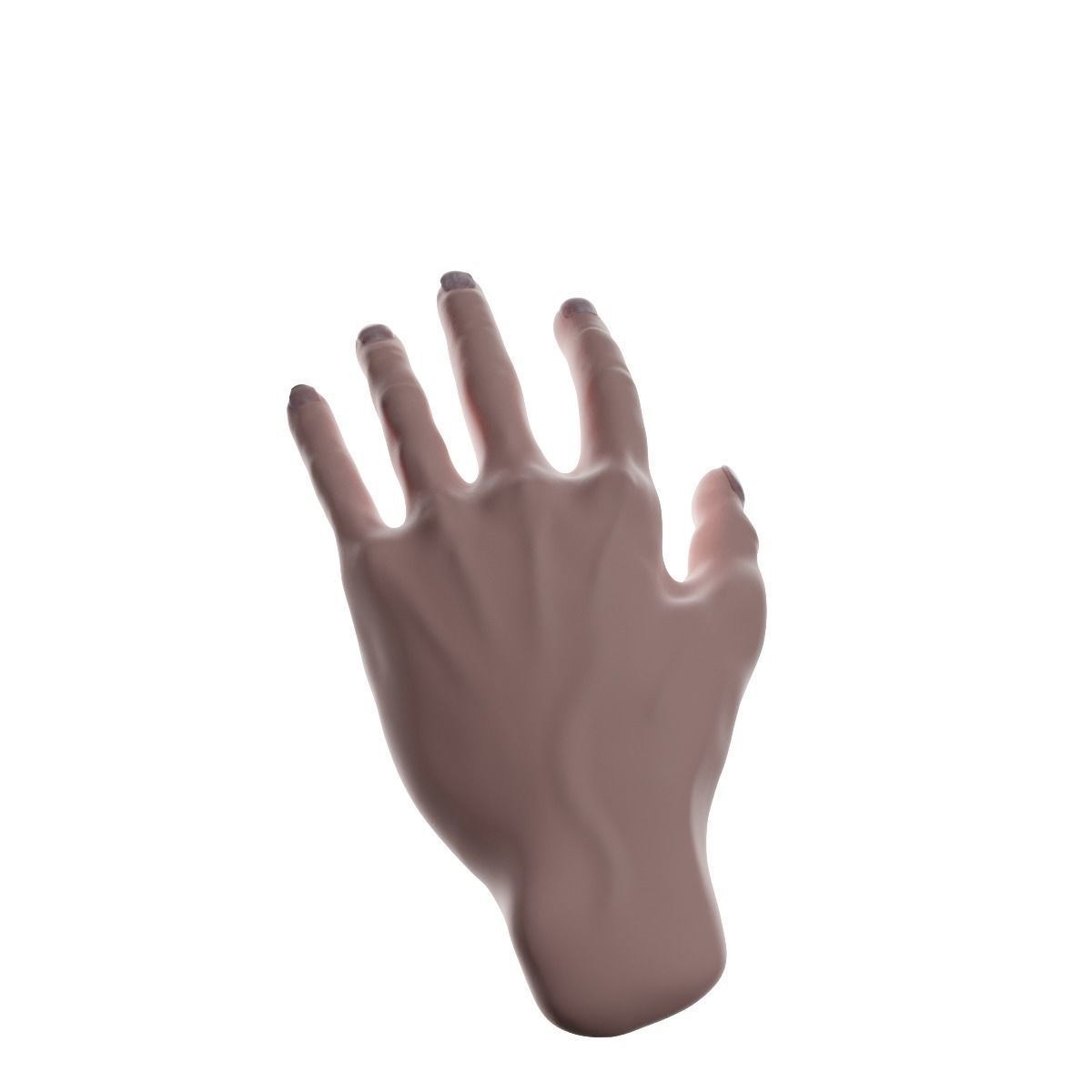Realistic human hand model Free 3D model_14