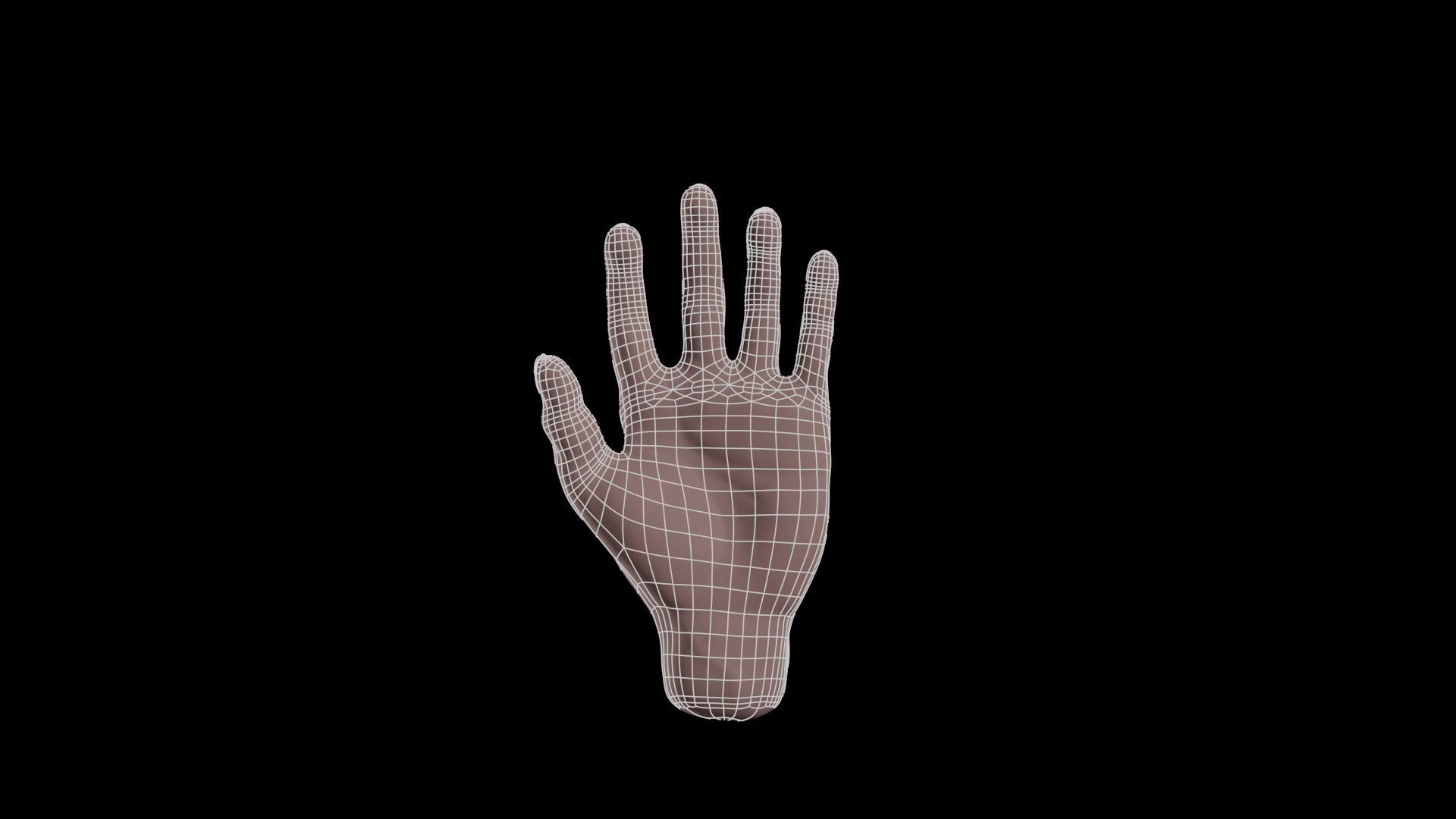 Realistic human hand model Free 3D model_9