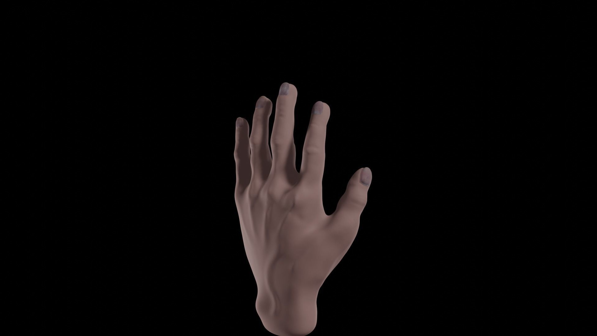 Realistic human hand model Free 3D model_7