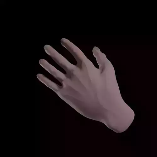 Realistic human hand model Free 3D model