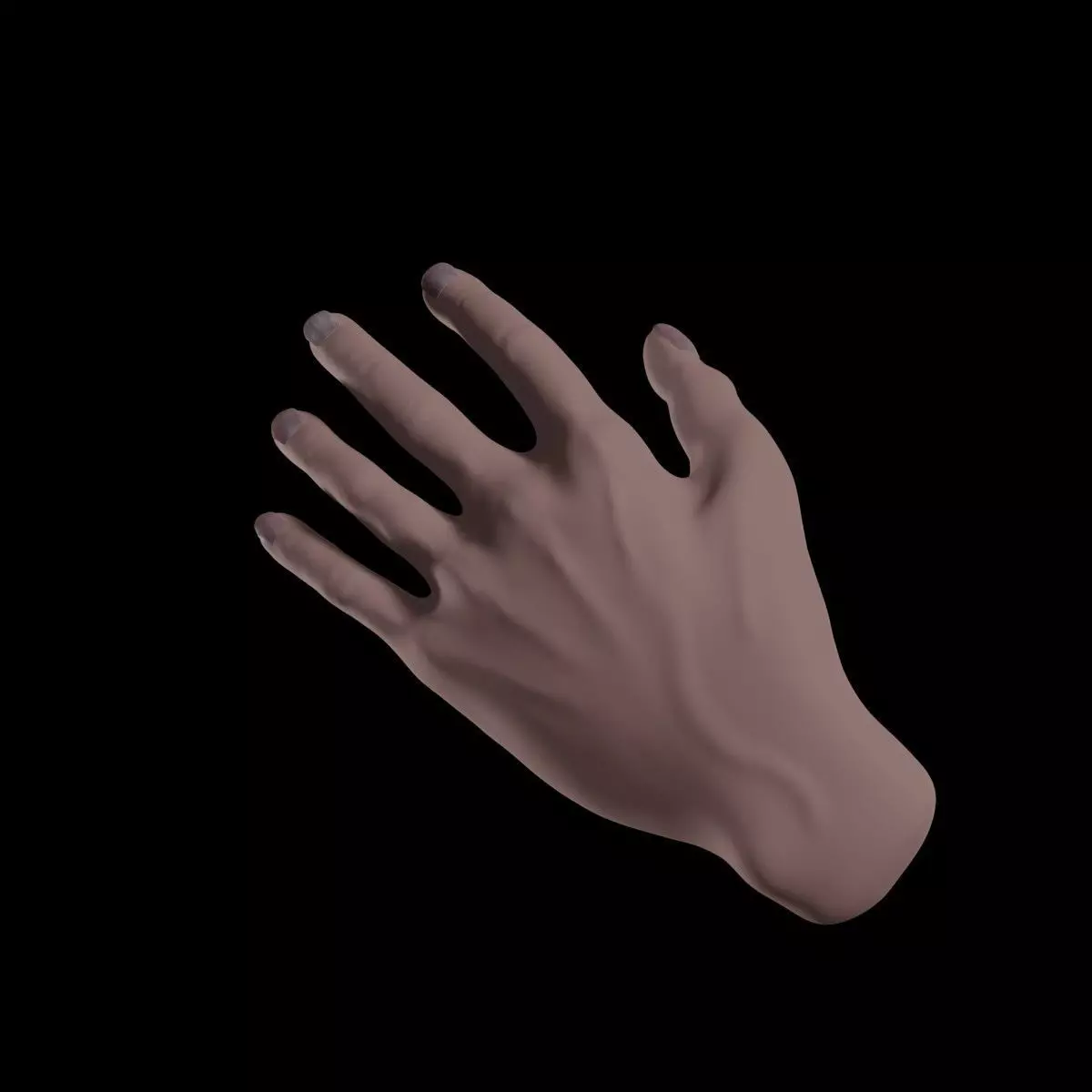 Realistic human hand model Free 3D model_0