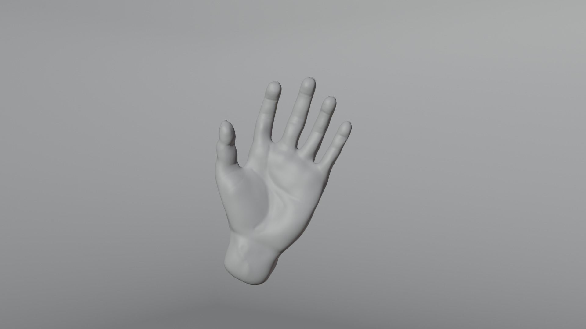 Realistic human hand model Free 3D model_11