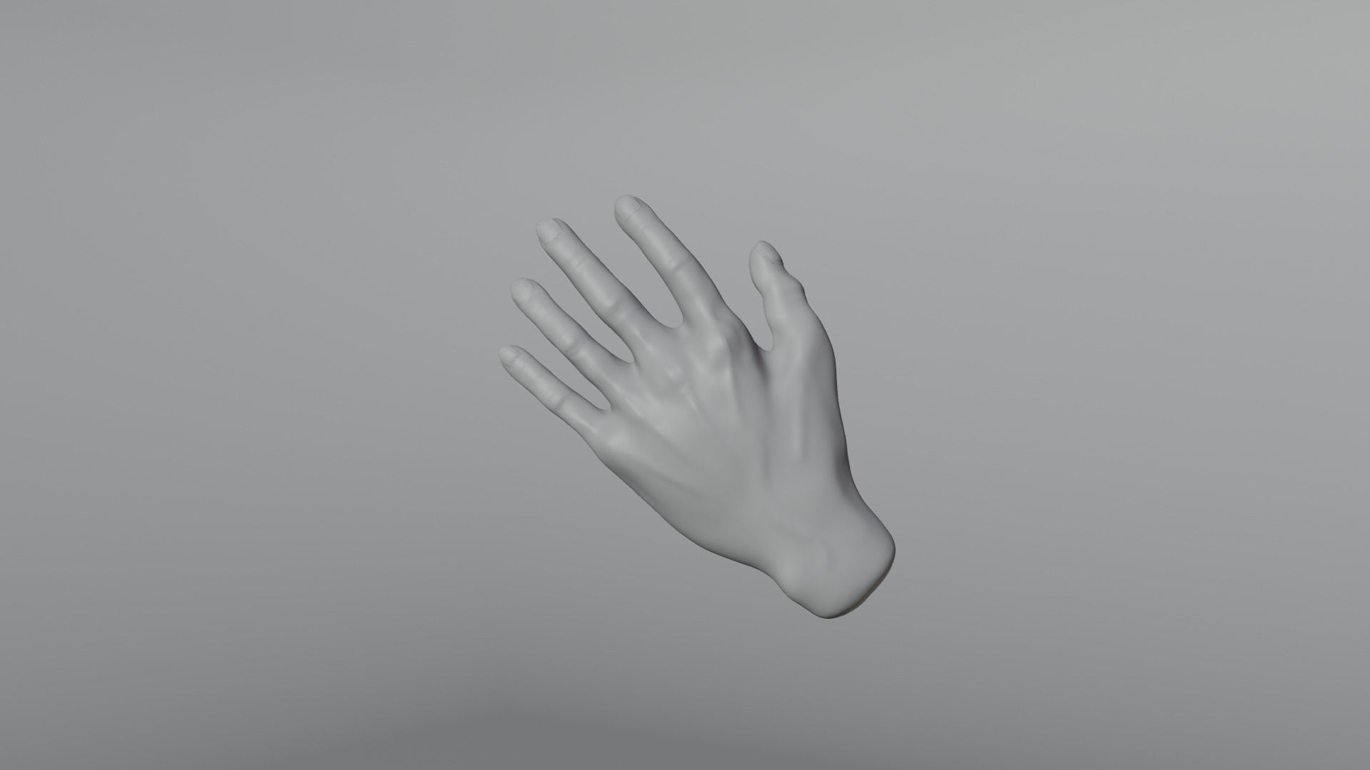 Realistic human hand model Free 3D model_10