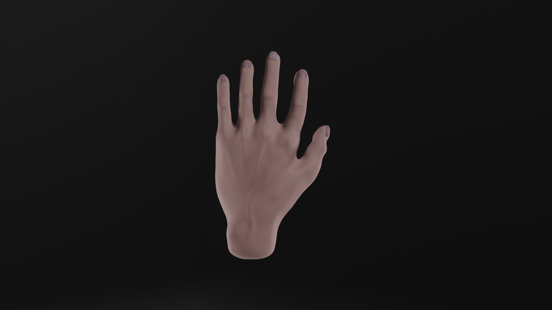 Realistic human hand model Free 3D model_1