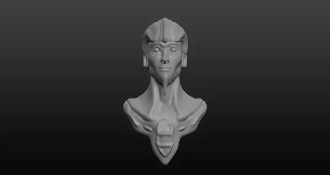 Character Head