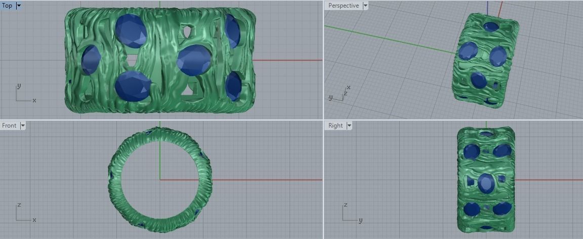 ring custom 3D print model_4