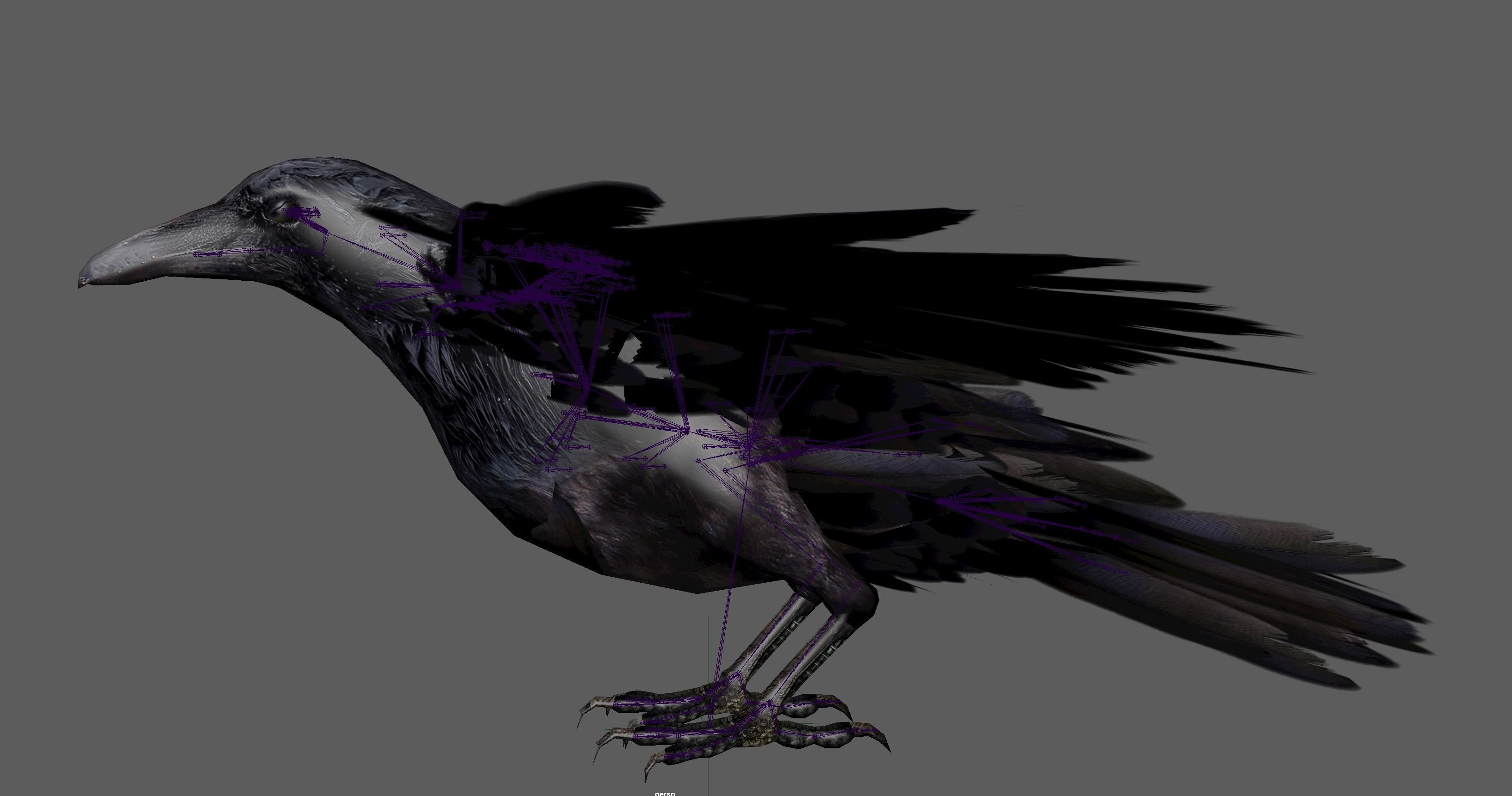 Raven Rig  Low-poly 3D model_22