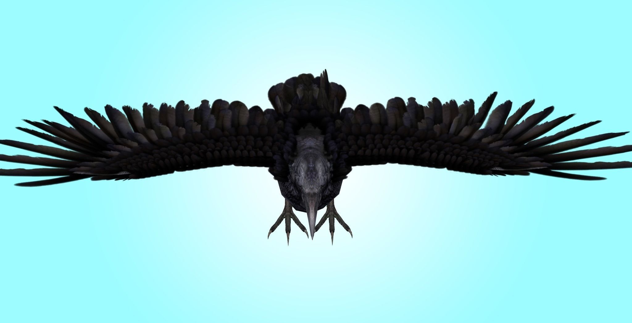 Raven Rig  Low-poly 3D model_5