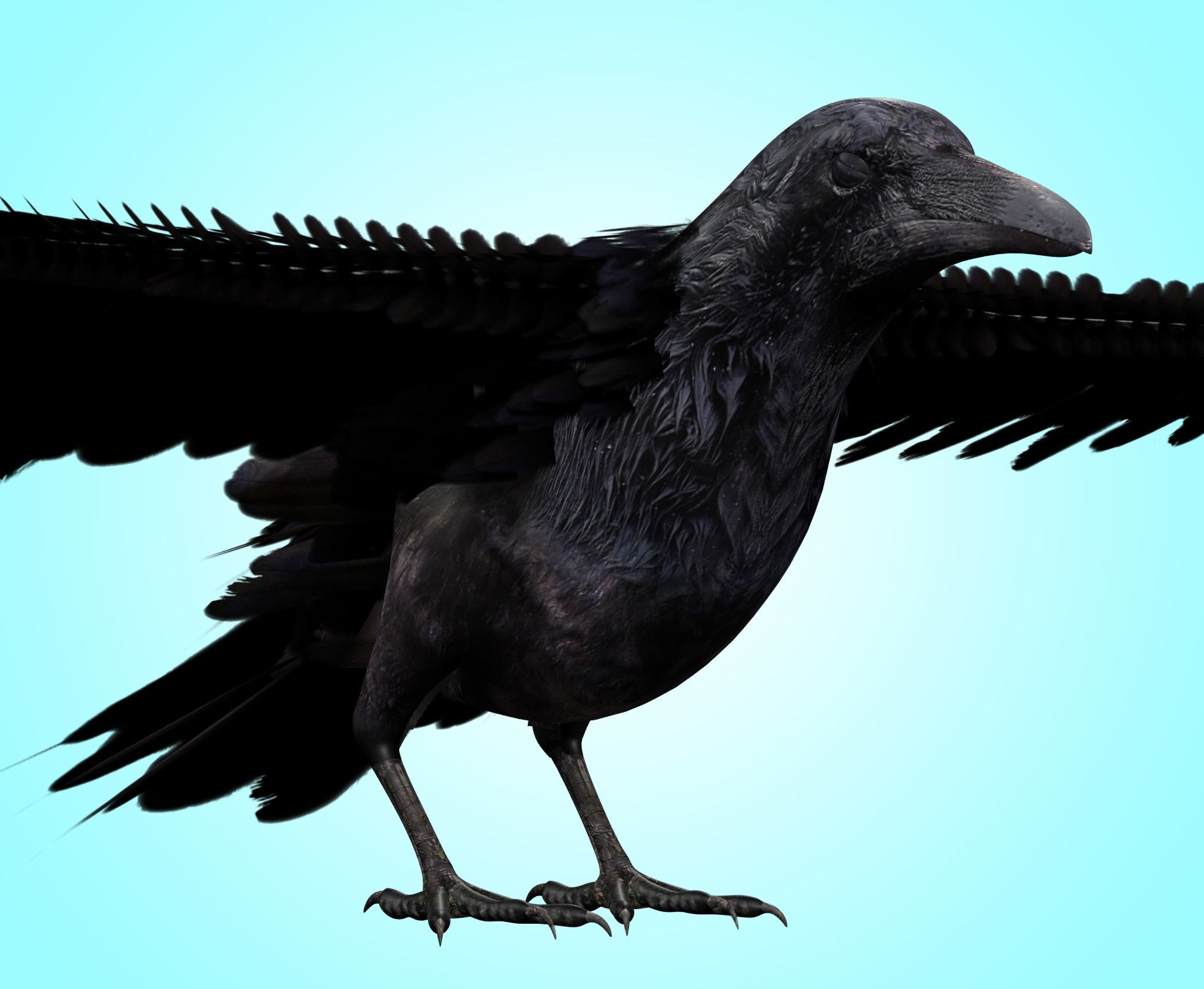 Raven Rig  Low-poly 3D model_2
