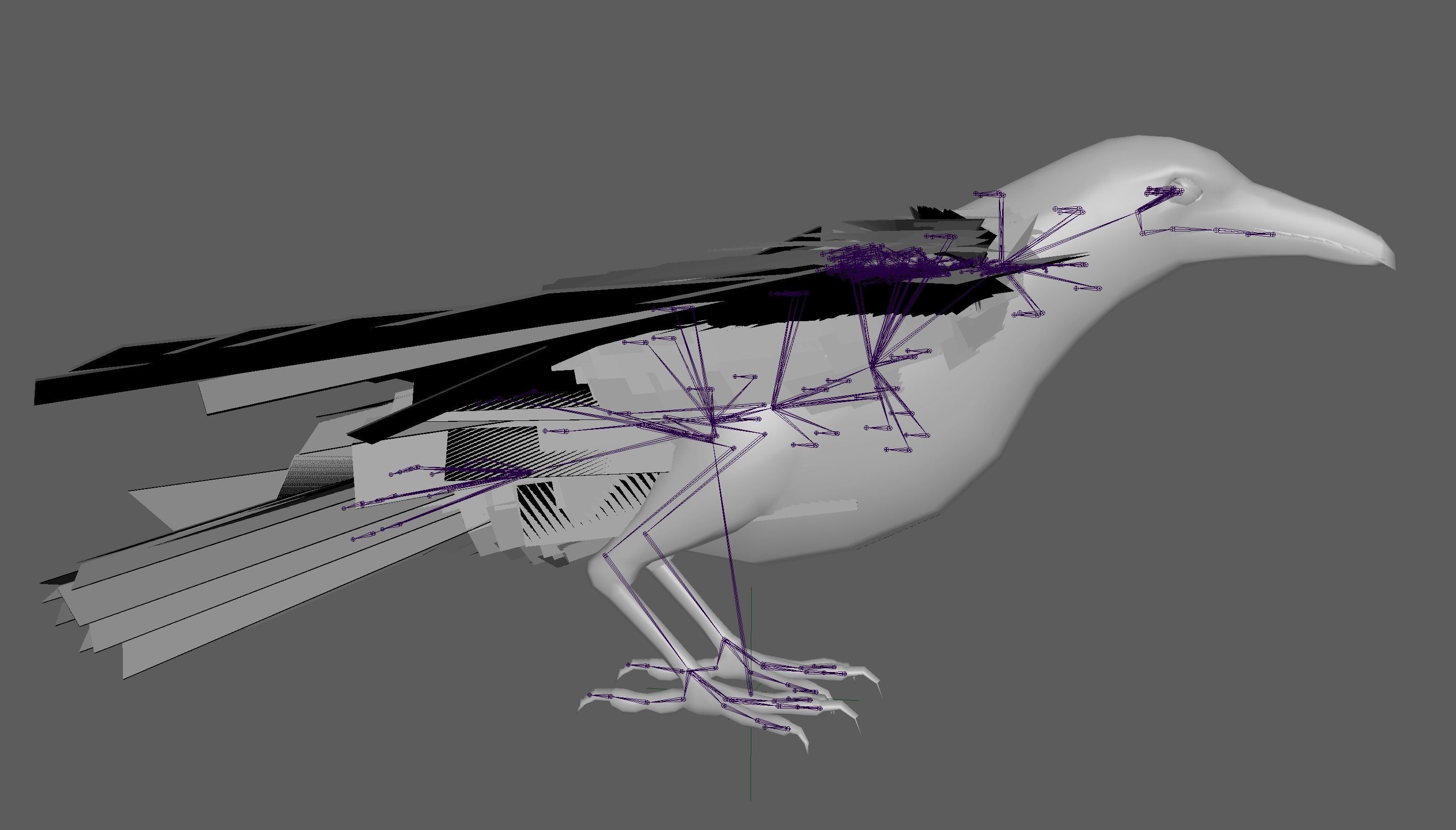 Raven Rig  Low-poly 3D model_19