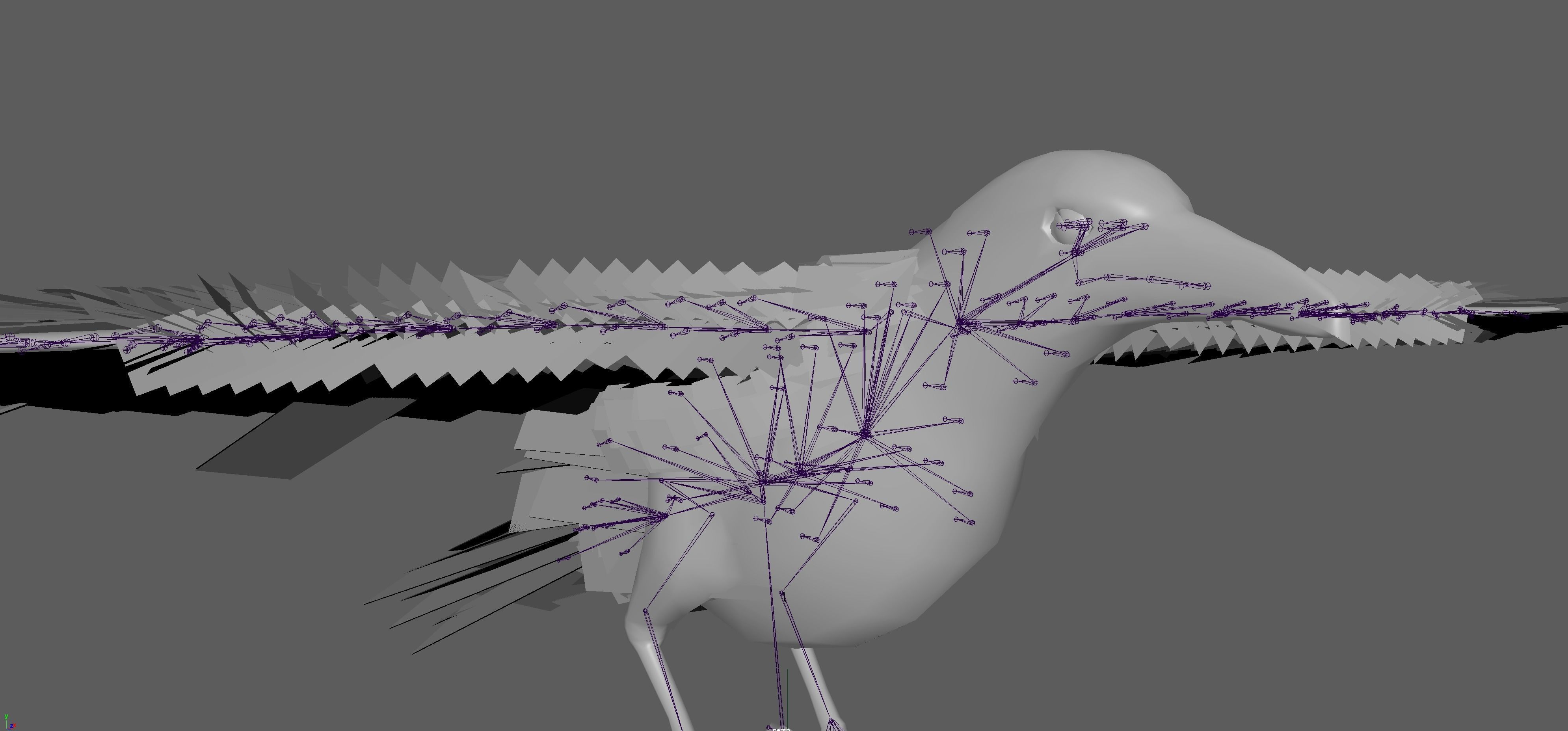 Raven Rig  Low-poly 3D model_13