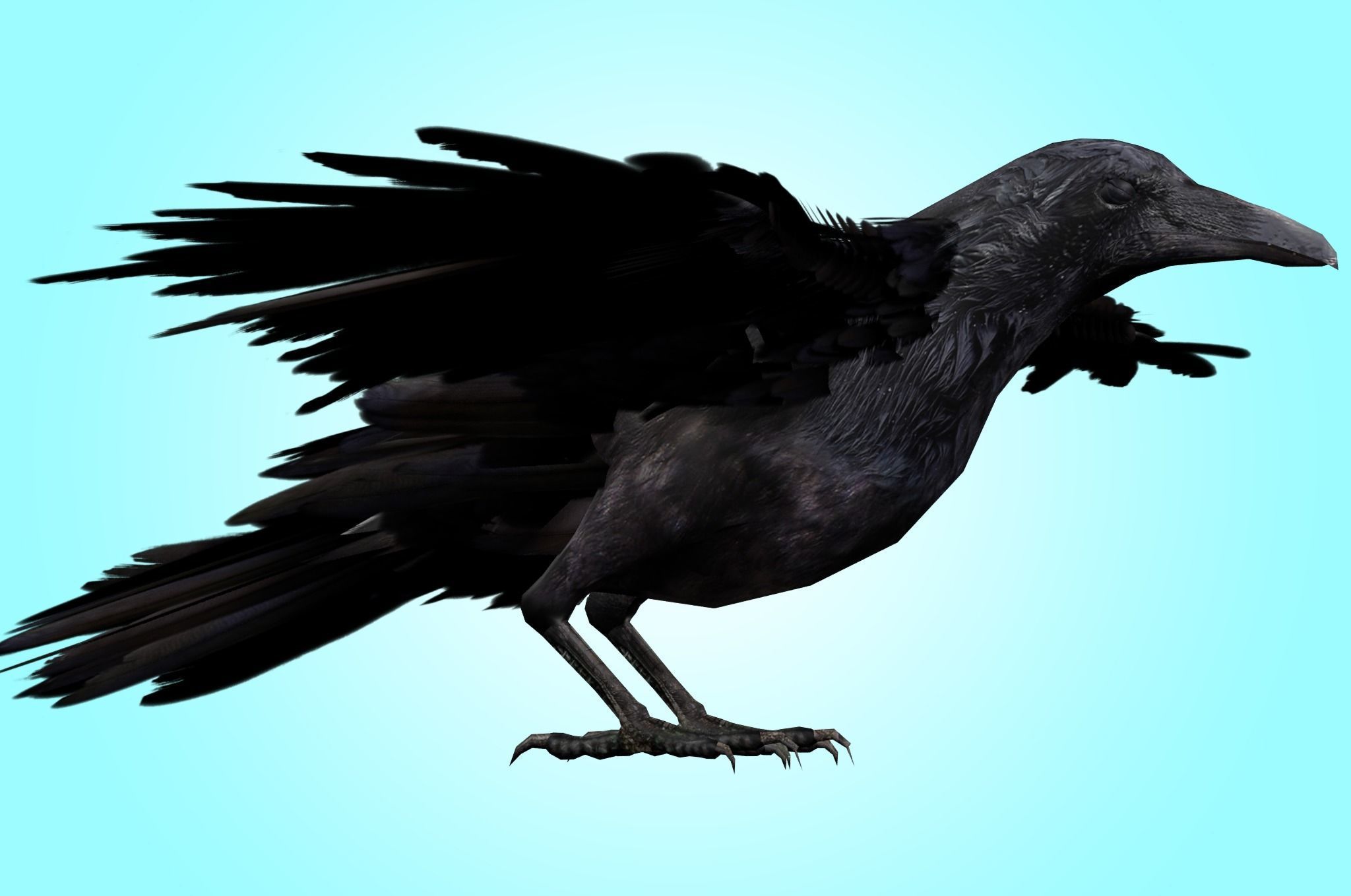 Raven Rig  Low-poly 3D model_3