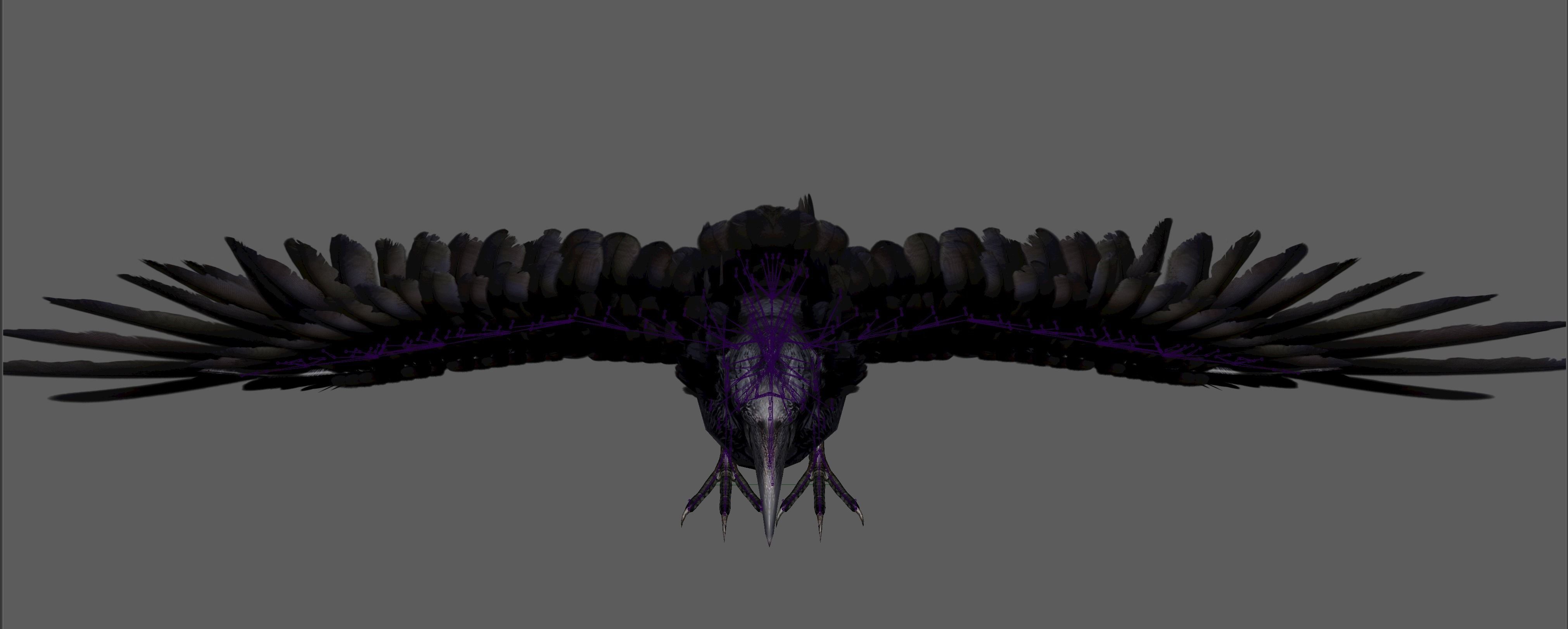 Raven Rig  Low-poly 3D model_16