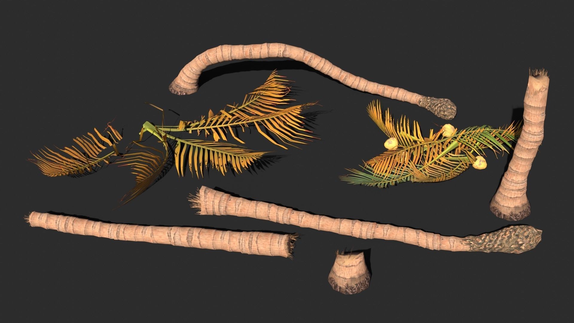 Modular Coconut Palm Trees - Cocos Nucifera  Low-poly 3D model_17