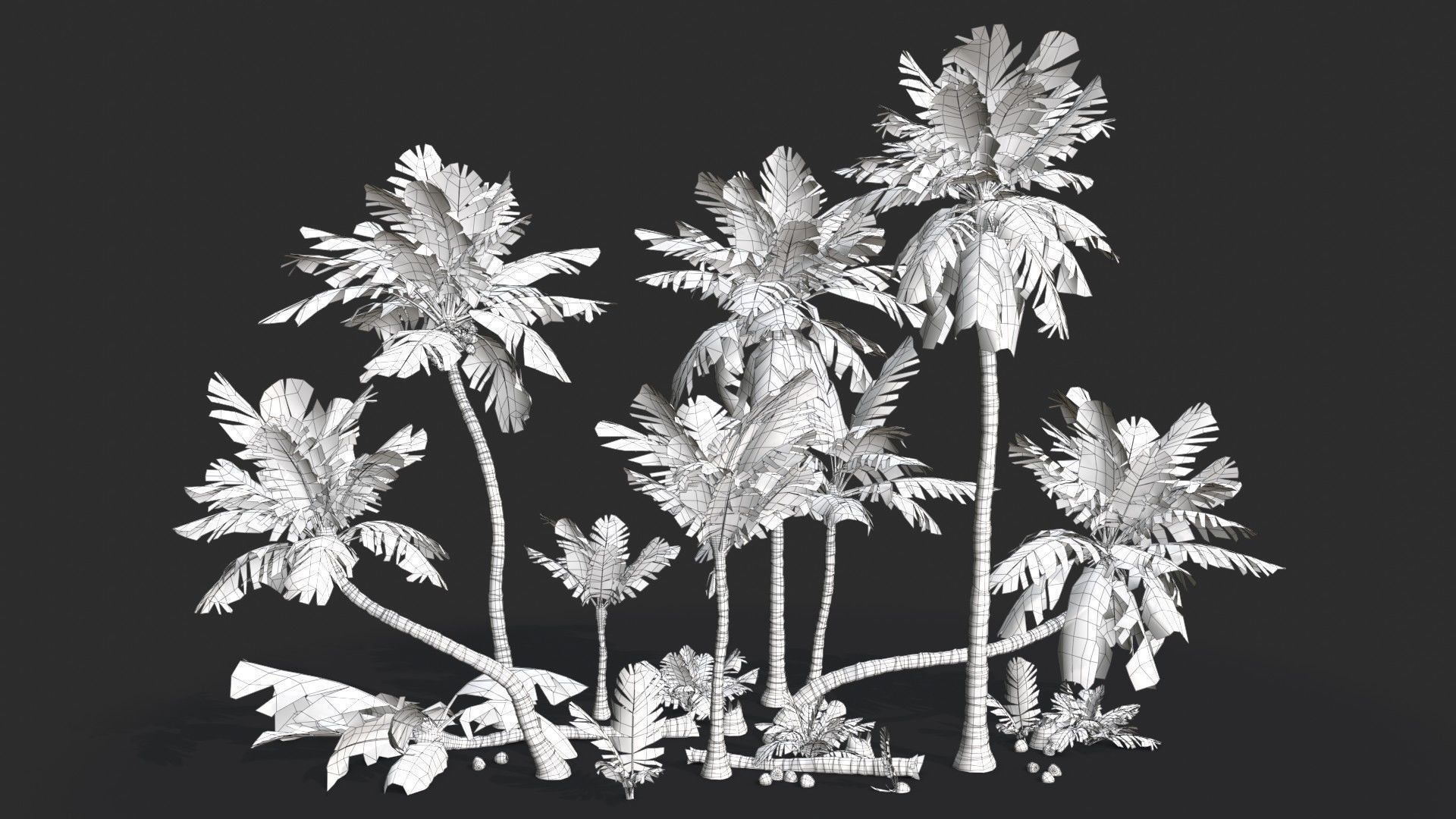 Modular Coconut Palm Trees - Cocos Nucifera  Low-poly 3D model_21
