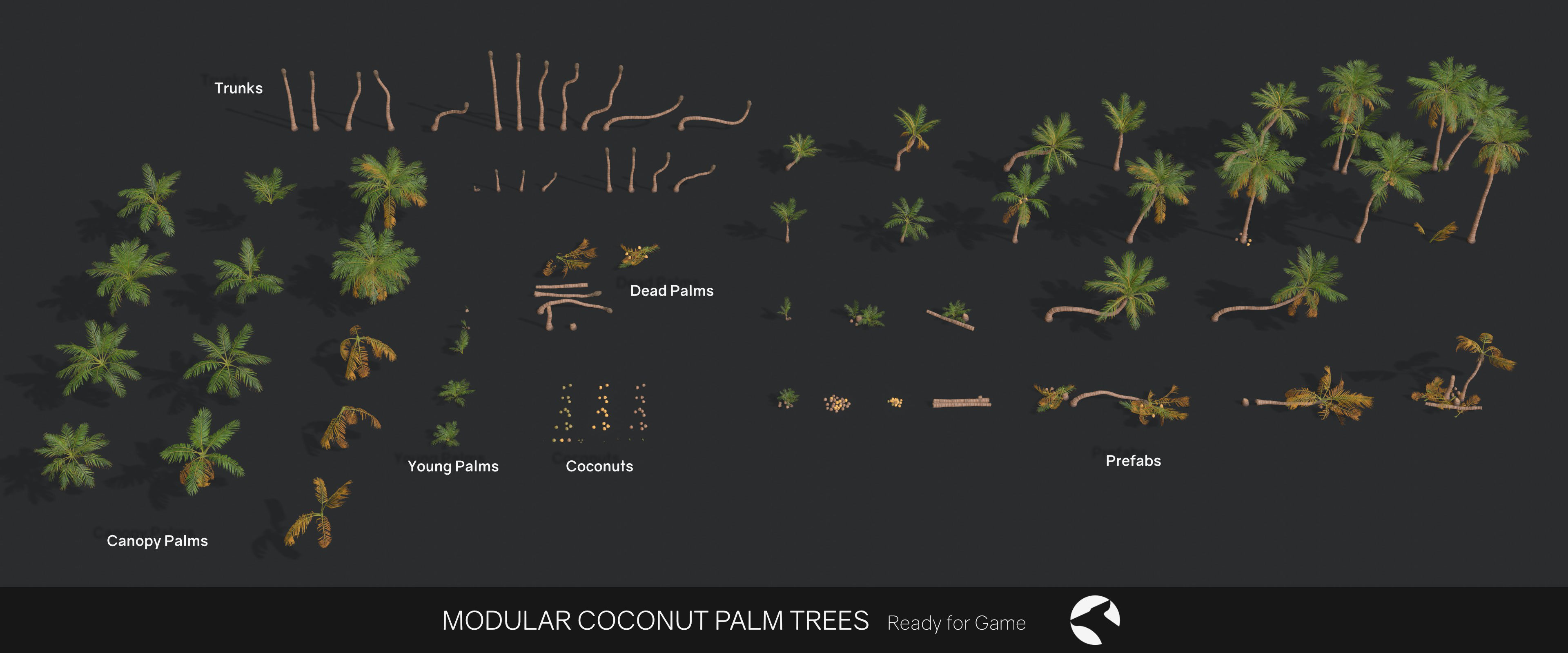 Modular Coconut Palm Trees - Cocos Nucifera  Low-poly 3D model_3