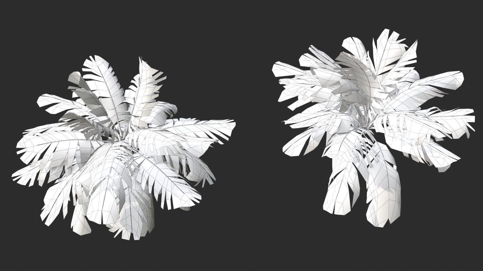 Modular Coconut Palm Trees - Cocos Nucifera  Low-poly 3D model_30