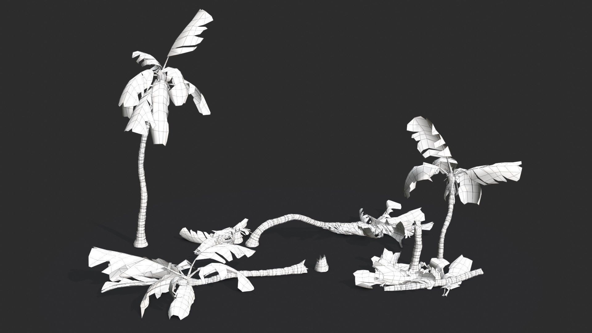 Modular Coconut Palm Trees - Cocos Nucifera  Low-poly 3D model_34