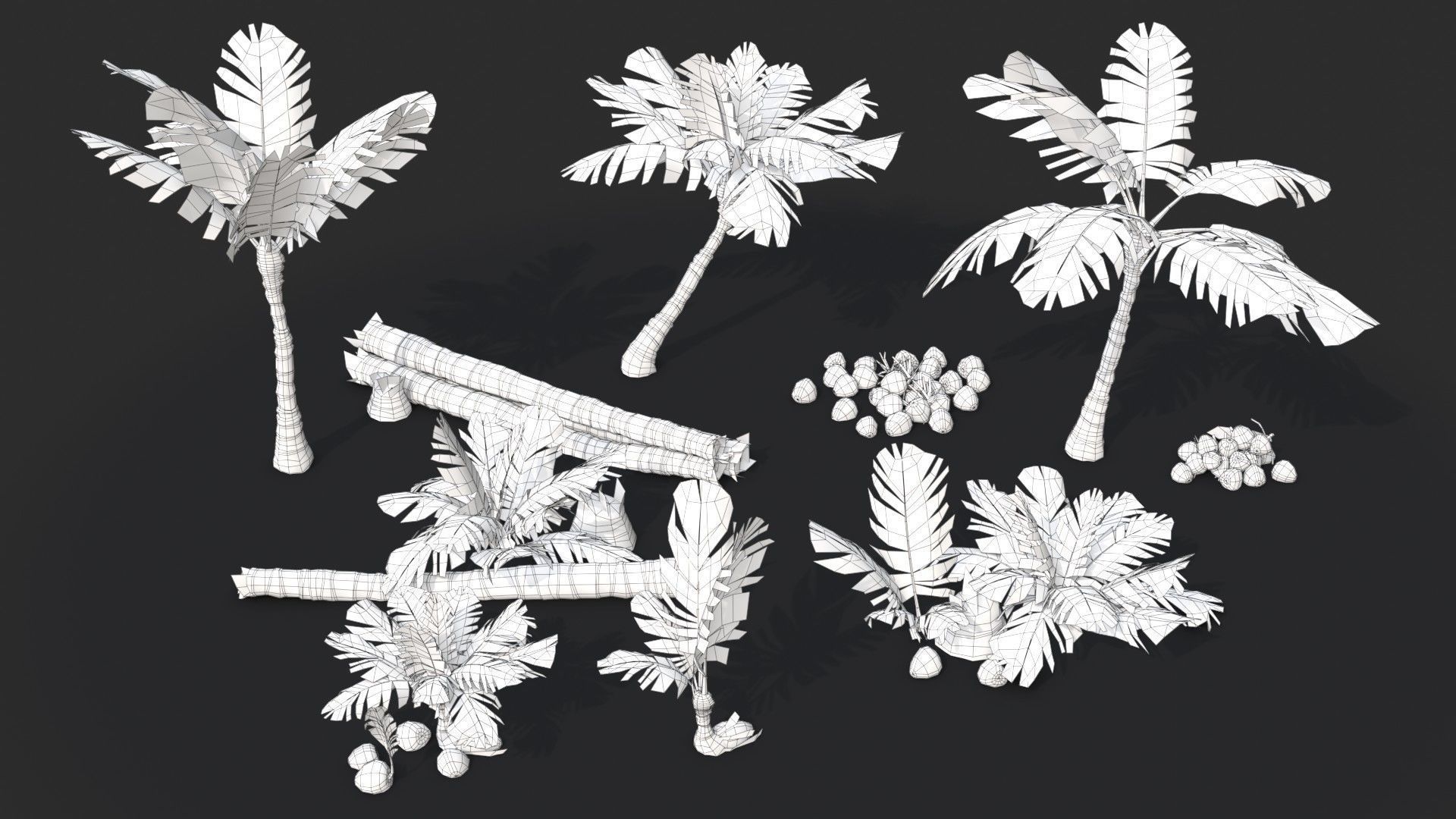 Modular Coconut Palm Trees - Cocos Nucifera  Low-poly 3D model_32