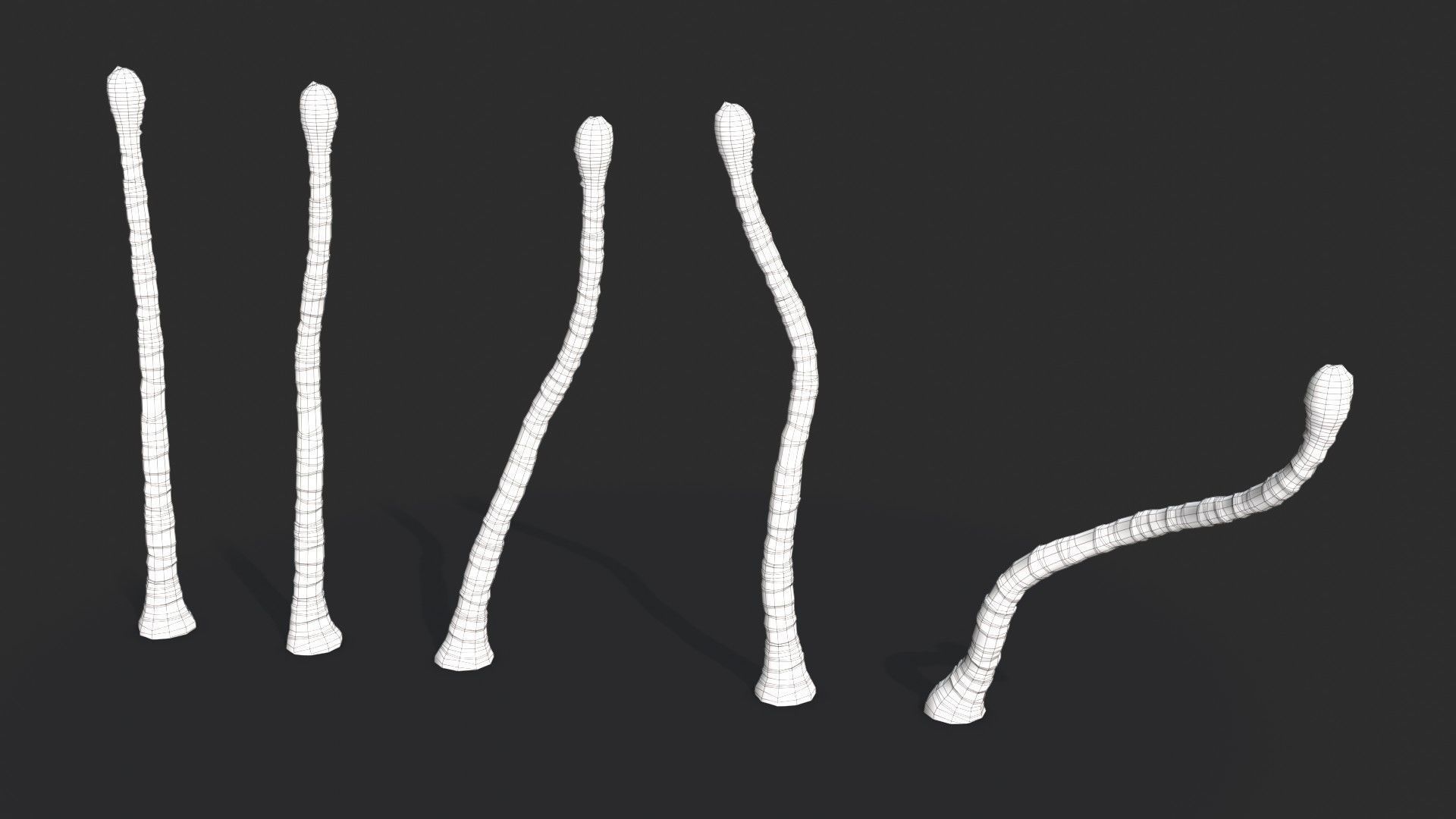 Modular Coconut Palm Trees - Cocos Nucifera  Low-poly 3D model_26