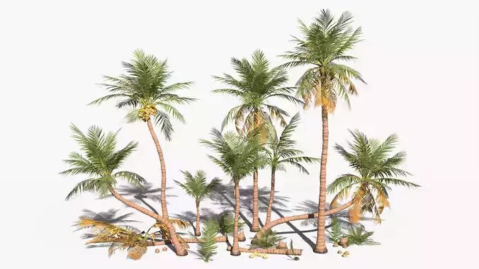 Modular Coconut Palm Trees - Cocos Nucifera  Low-poly 3D model
