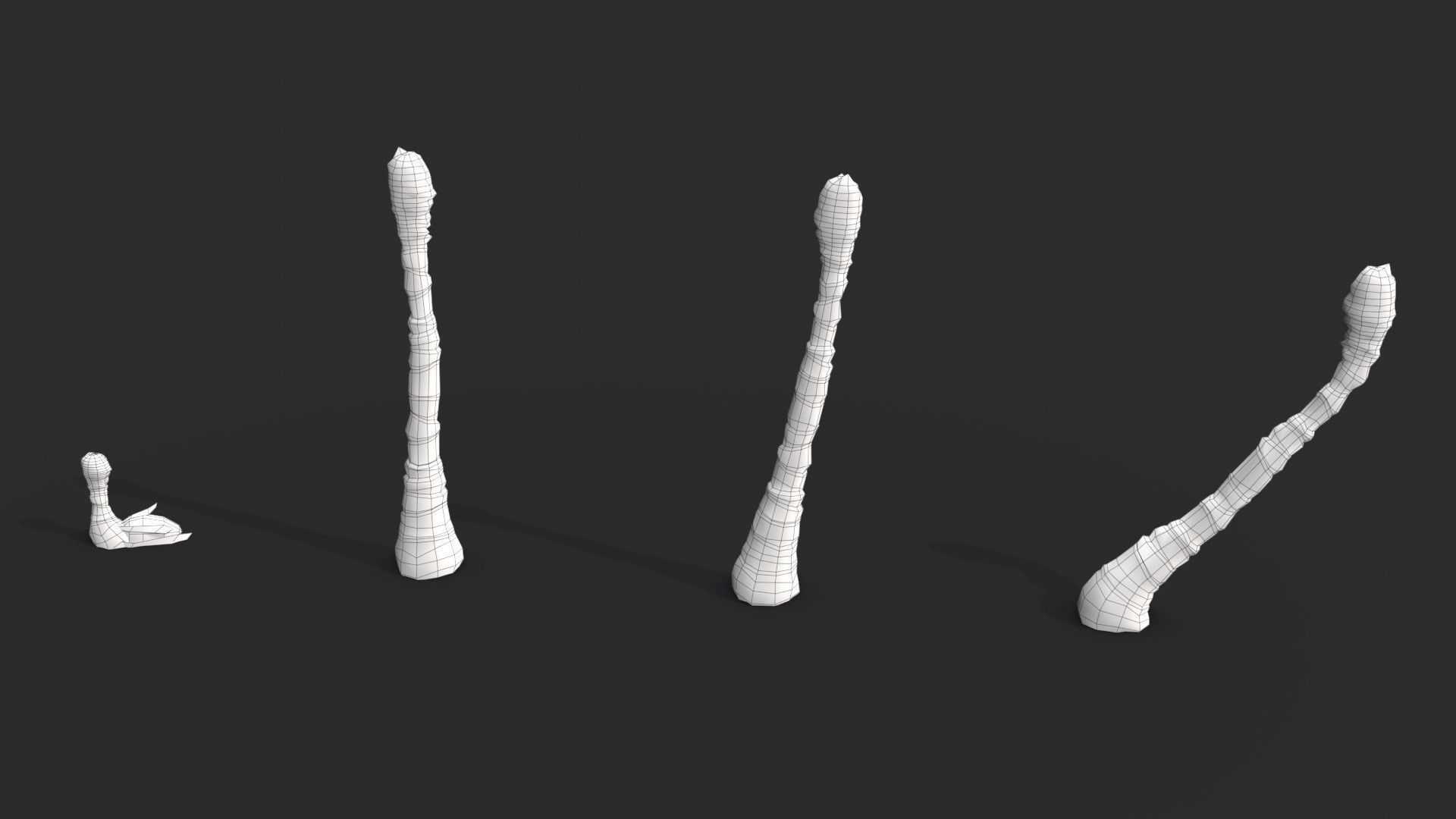 Modular Coconut Palm Trees - Cocos Nucifera  Low-poly 3D model_24