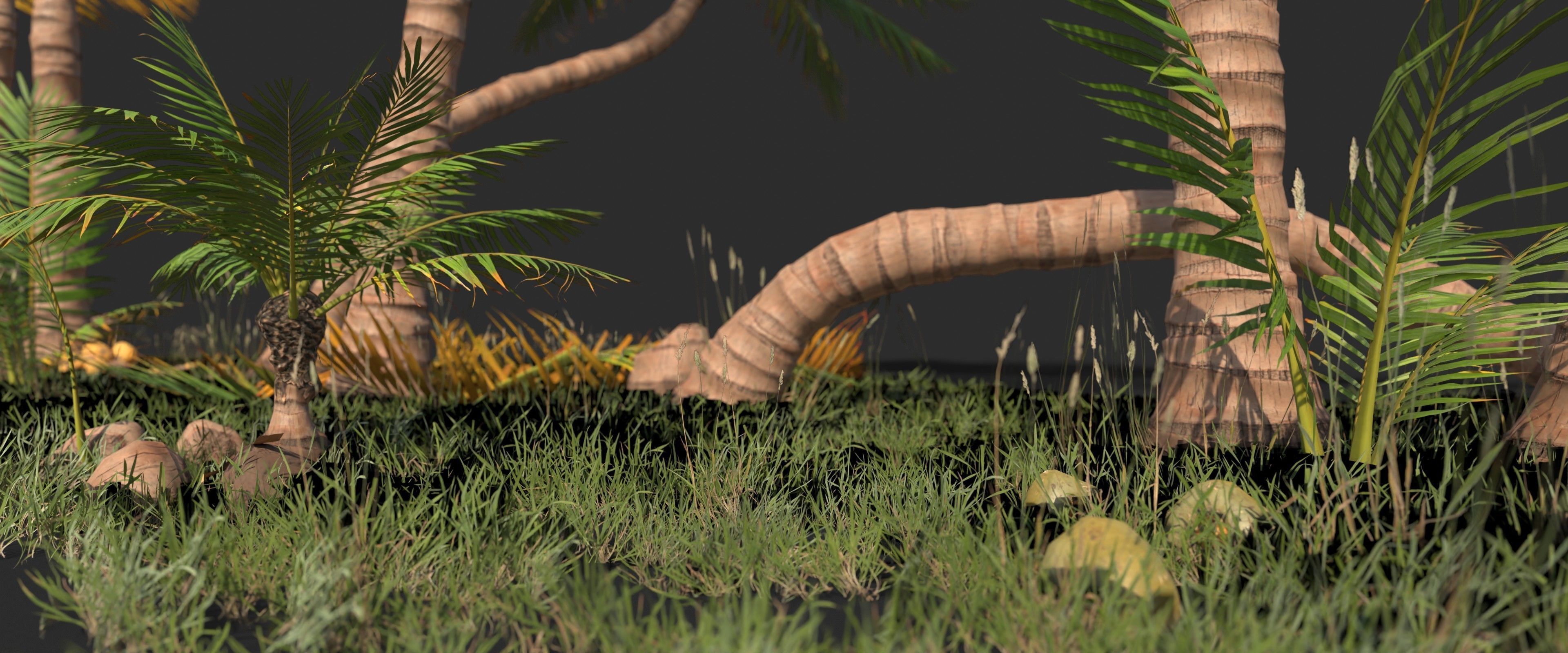 Modular Coconut Palm Trees - Cocos Nucifera  Low-poly 3D model_20