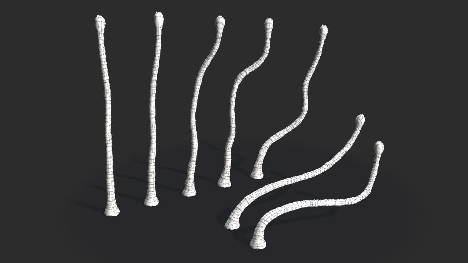 Modular Coconut Palm Trees - Cocos Nucifera  Low-poly 3D model_27