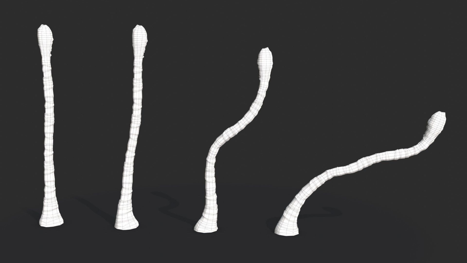 Modular Coconut Palm Trees - Cocos Nucifera  Low-poly 3D model_25