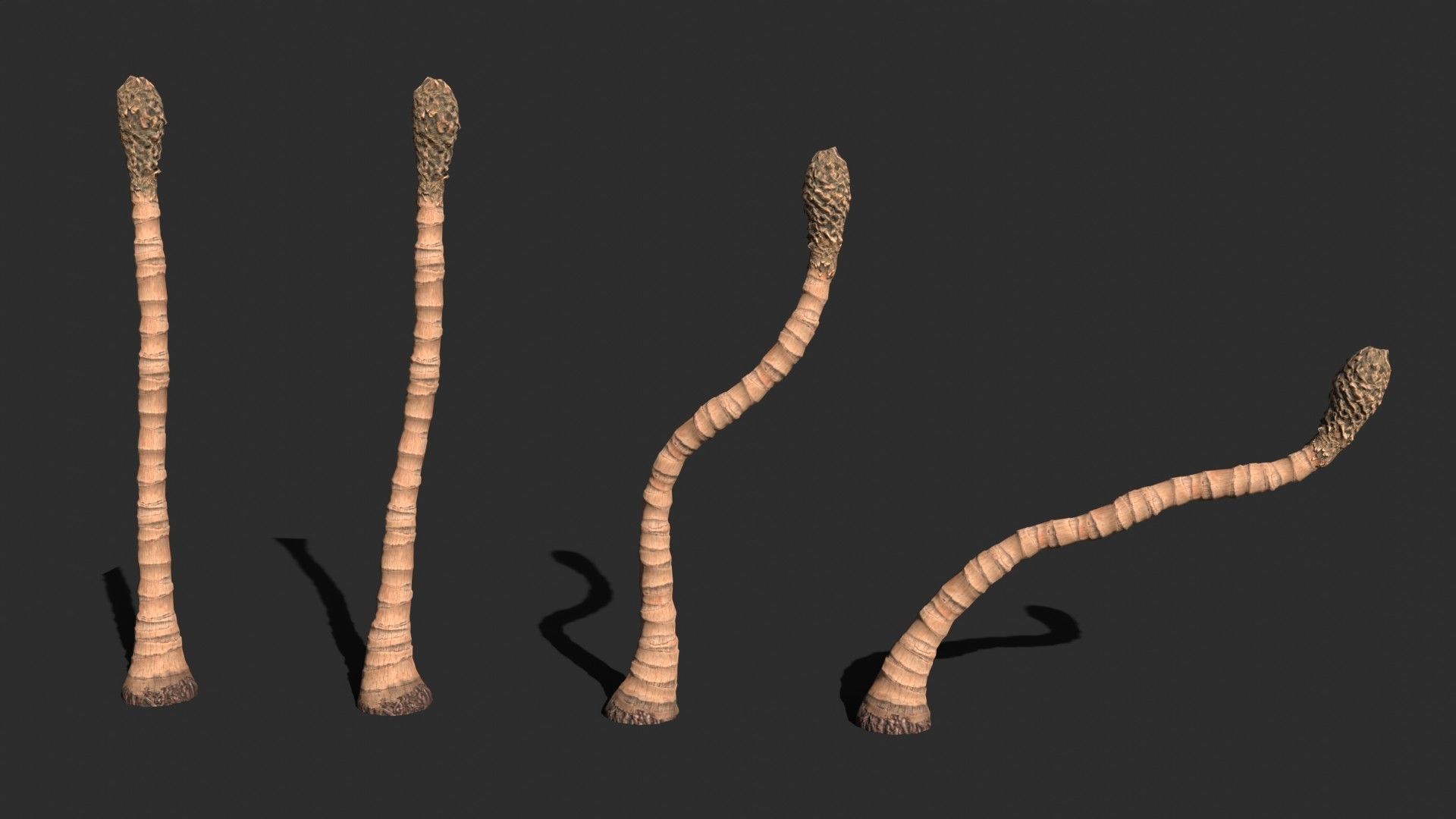 Modular Coconut Palm Trees - Cocos Nucifera  Low-poly 3D model_7