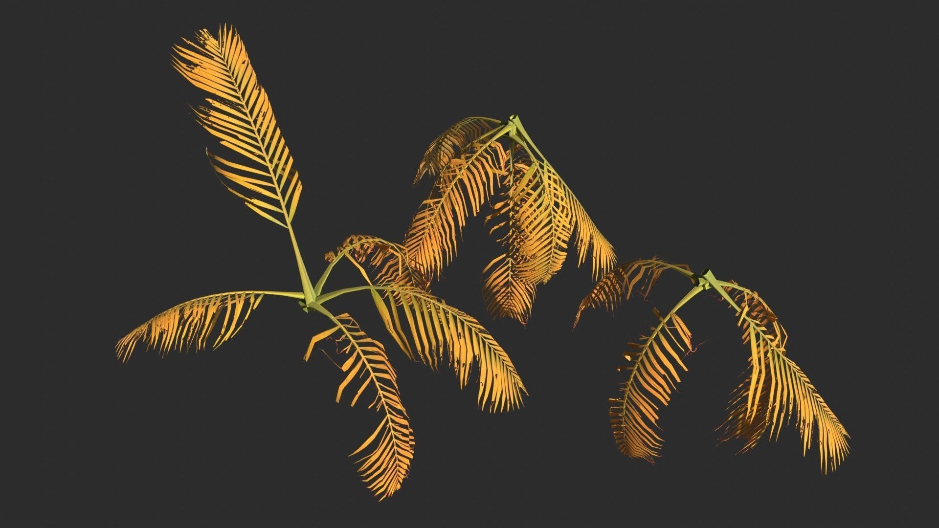 Modular Coconut Palm Trees - Cocos Nucifera  Low-poly 3D model_13