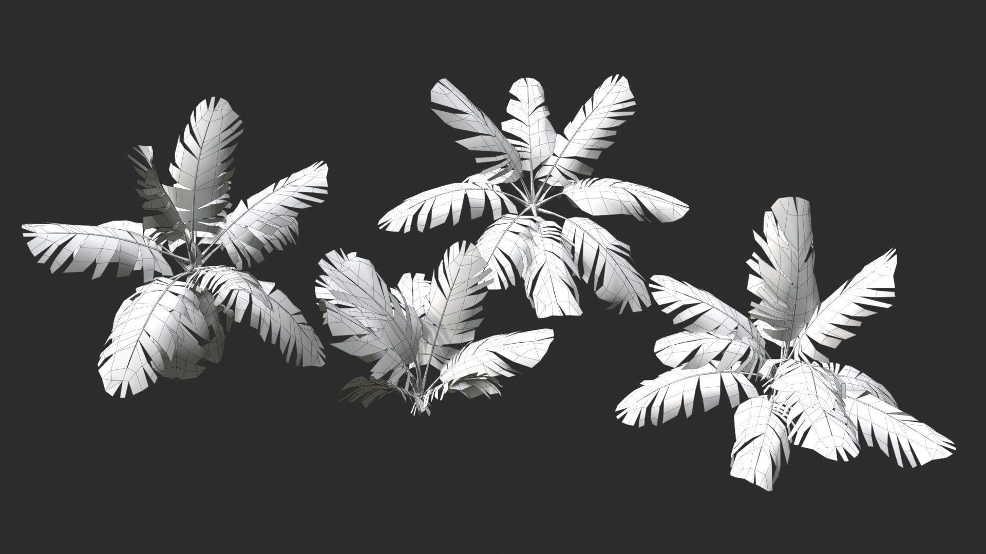 Modular Coconut Palm Trees - Cocos Nucifera  Low-poly 3D model_28