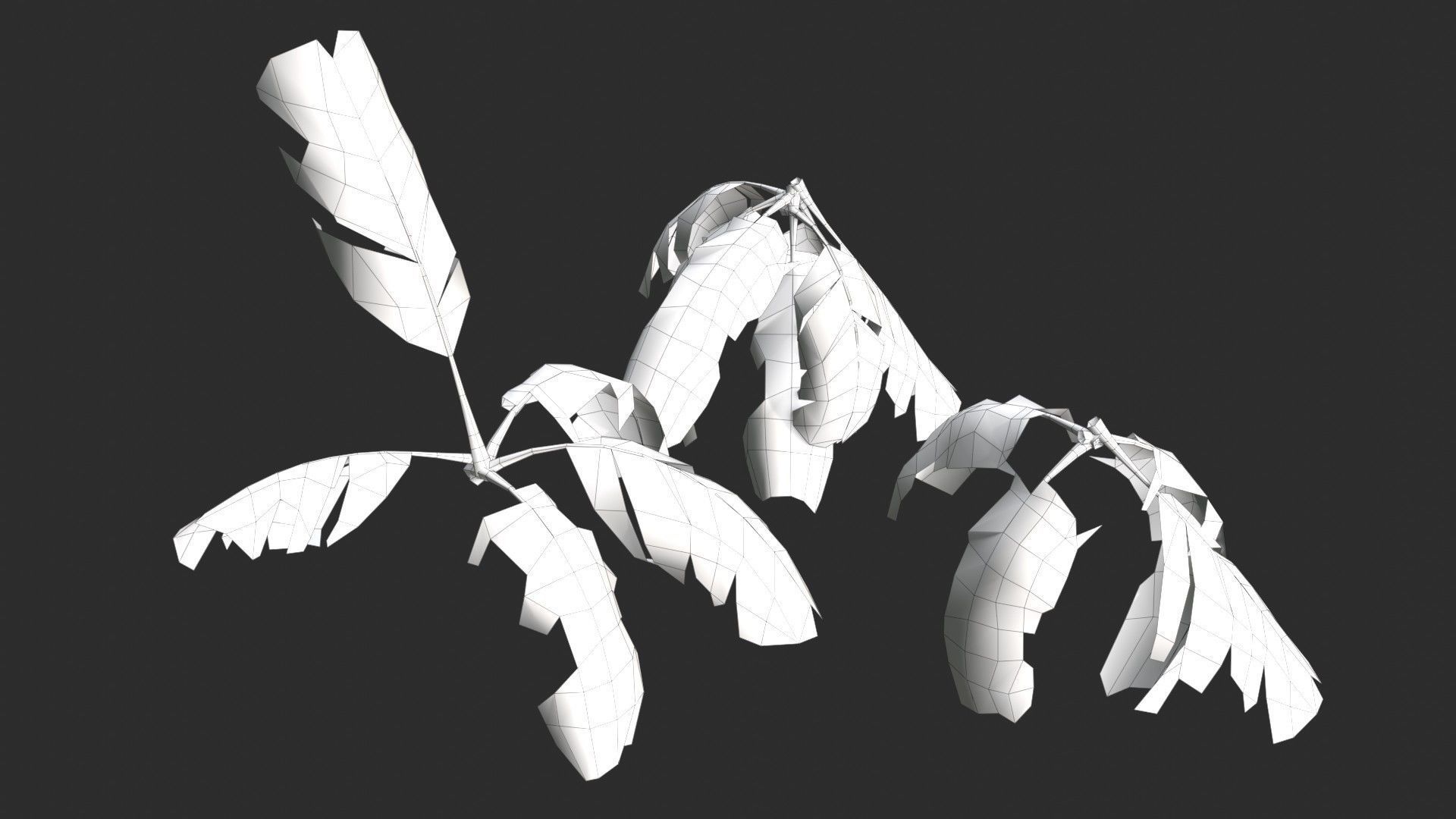 Modular Coconut Palm Trees - Cocos Nucifera  Low-poly 3D model_31