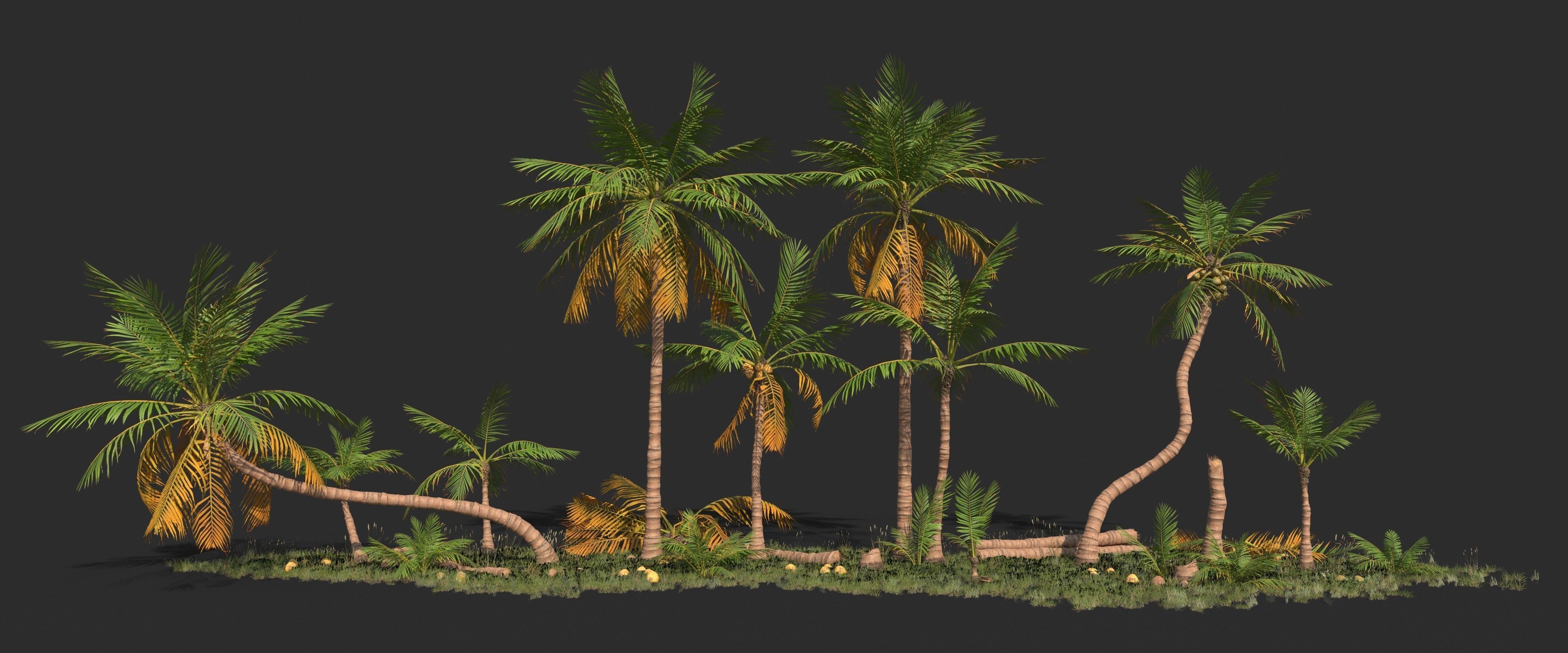 Modular Coconut Palm Trees - Cocos Nucifera  Low-poly 3D model_18