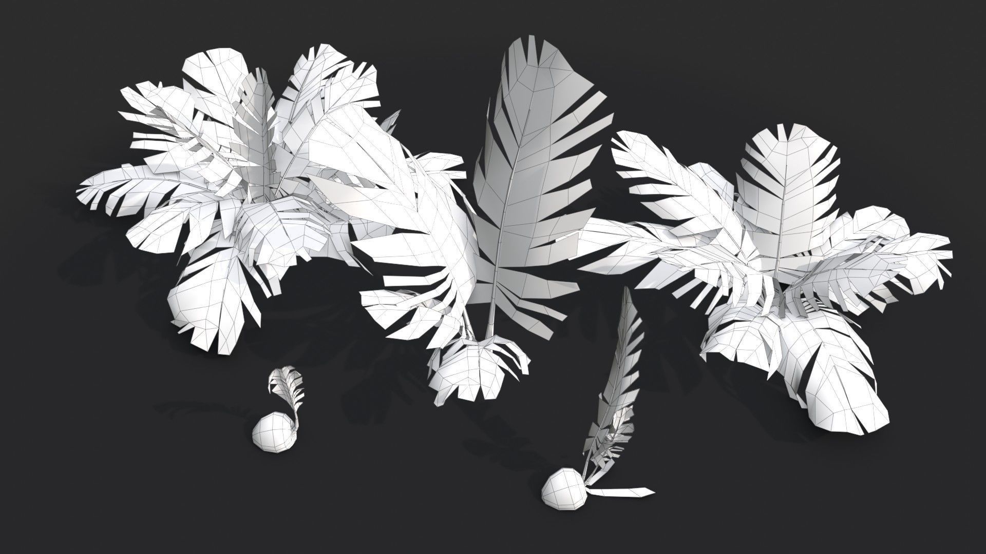 Modular Coconut Palm Trees - Cocos Nucifera  Low-poly 3D model_22