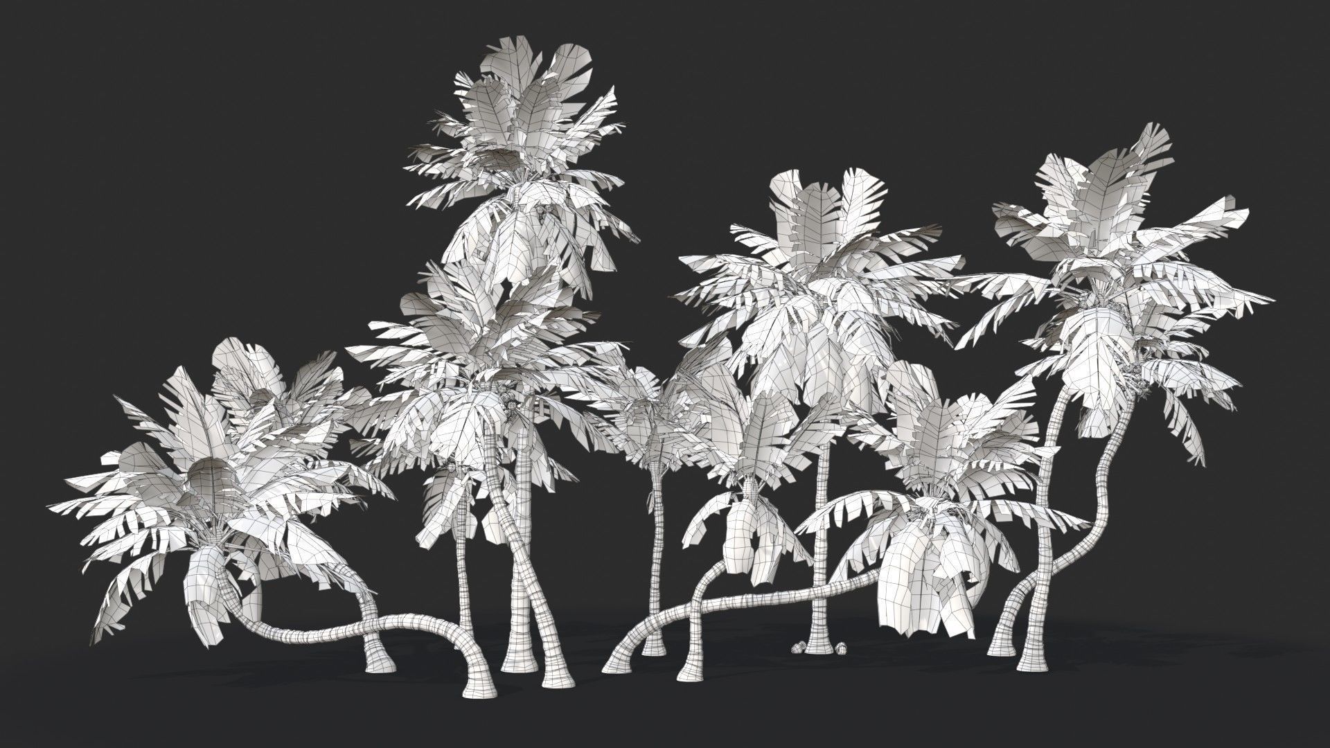 Modular Coconut Palm Trees - Cocos Nucifera  Low-poly 3D model_33