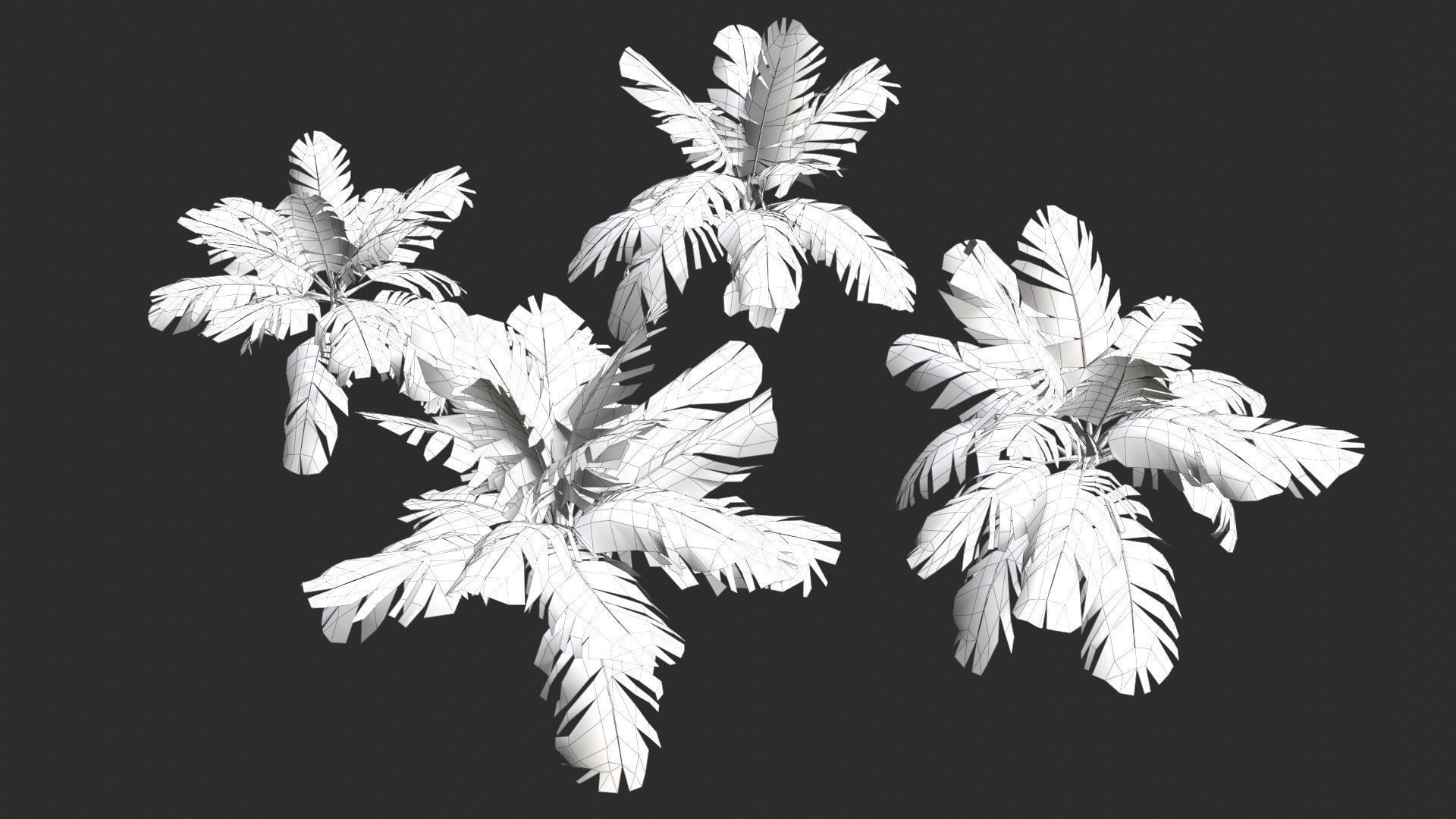 Modular Coconut Palm Trees - Cocos Nucifera  Low-poly 3D model_29