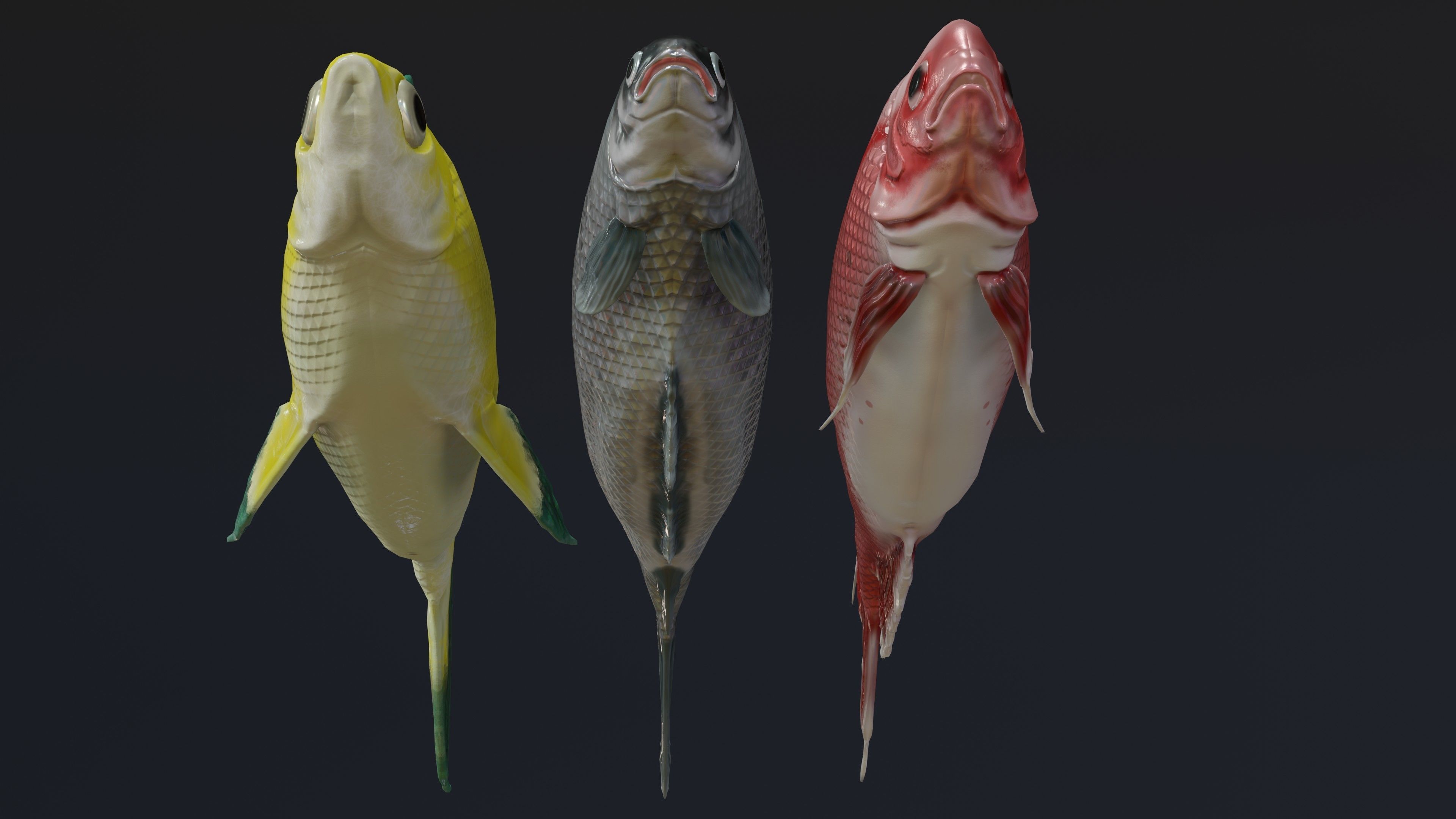 Fish Rigged Low-poly 3D model_6