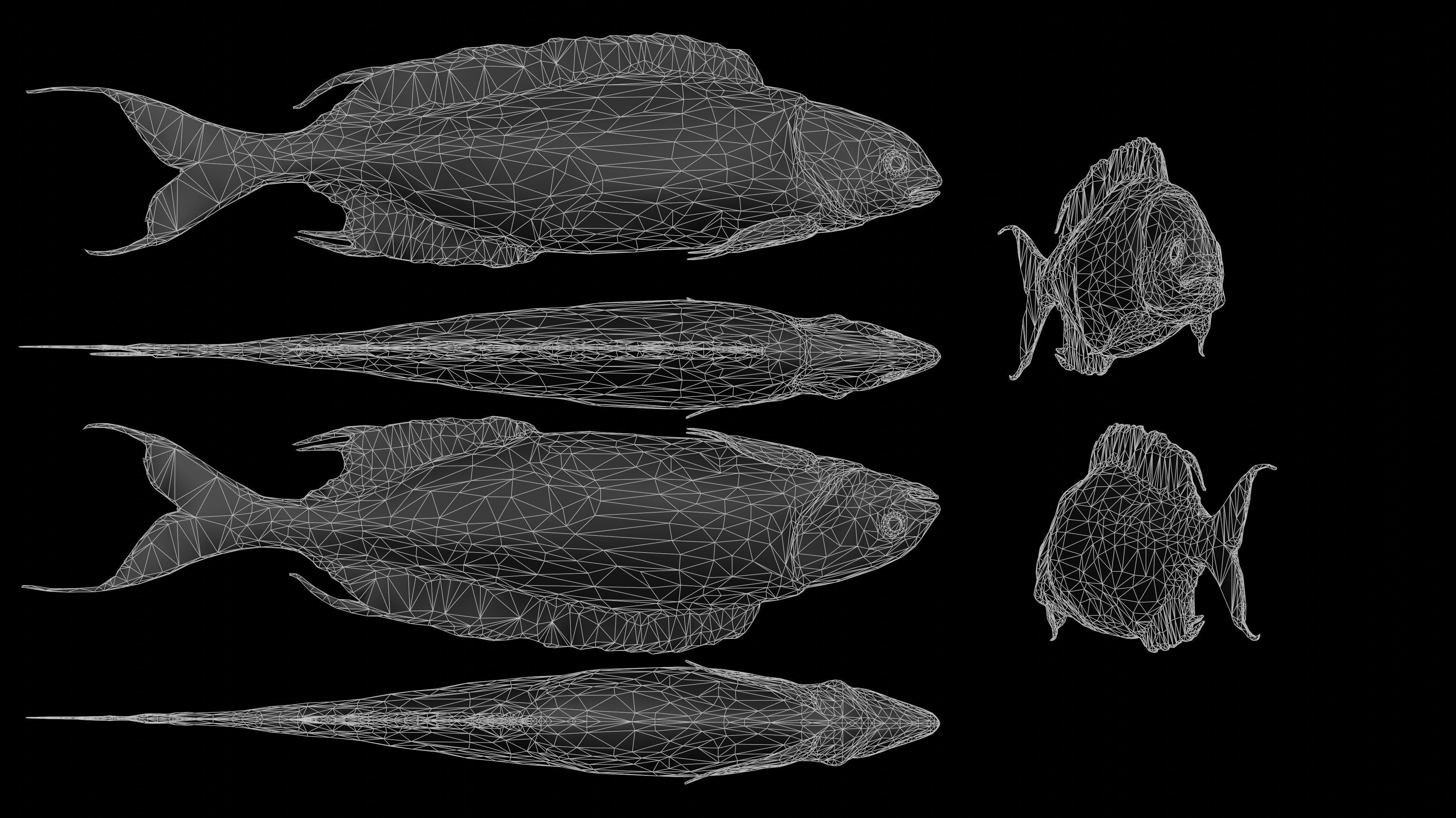 Fish Rigged Low-poly 3D model_26