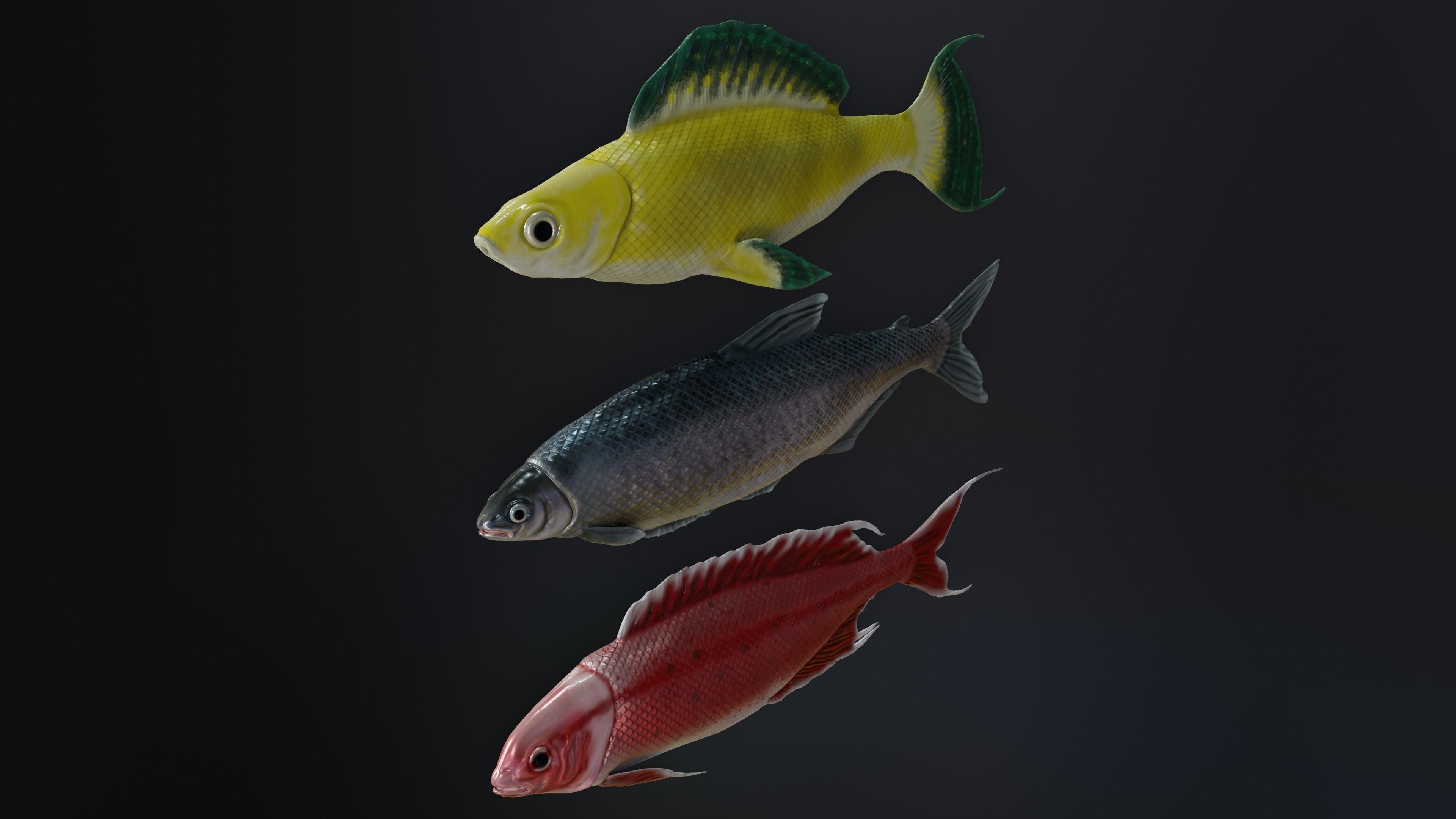 Fish Rigged Low-poly 3D model_24