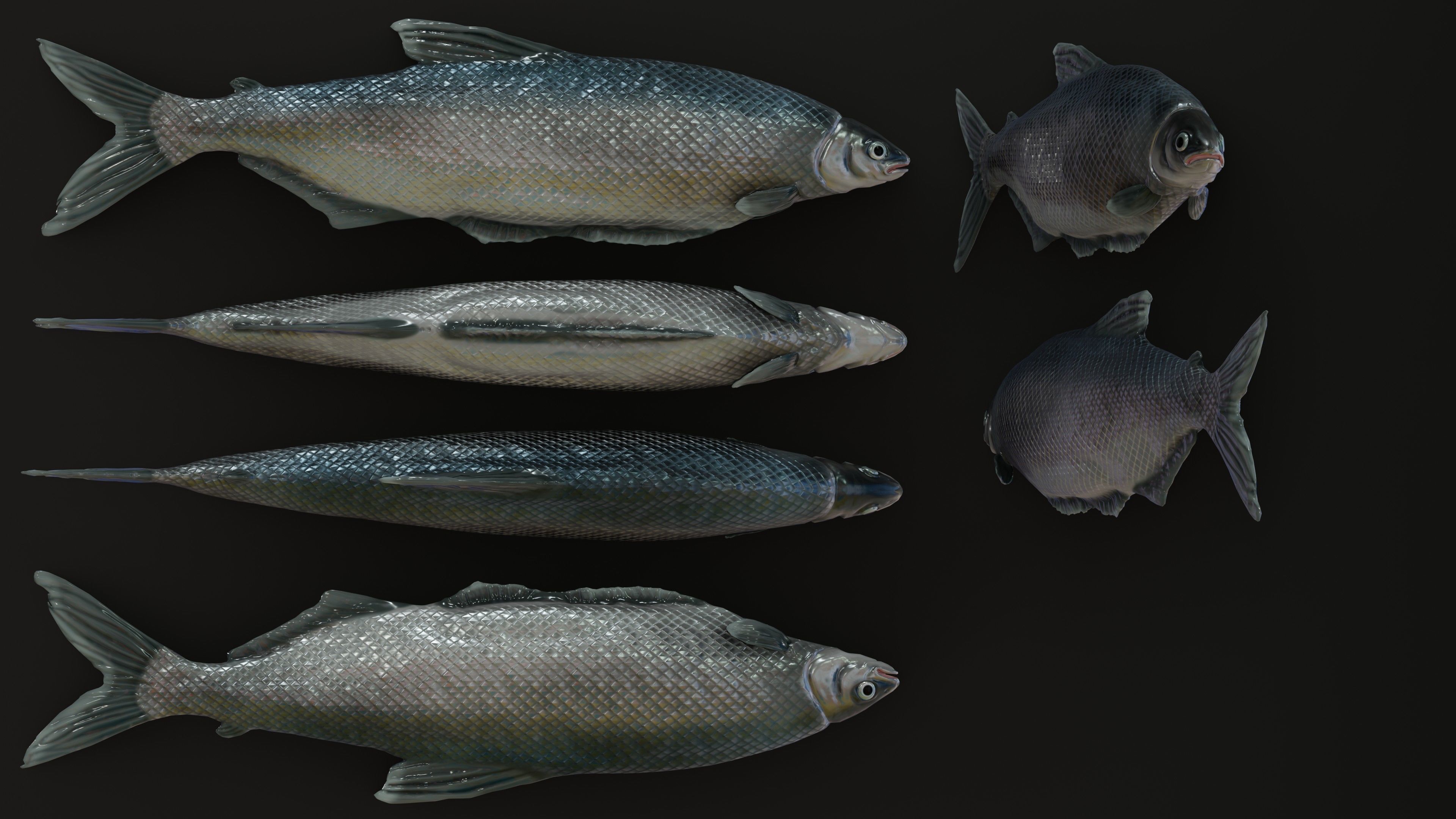 Fish Rigged Low-poly 3D model_19