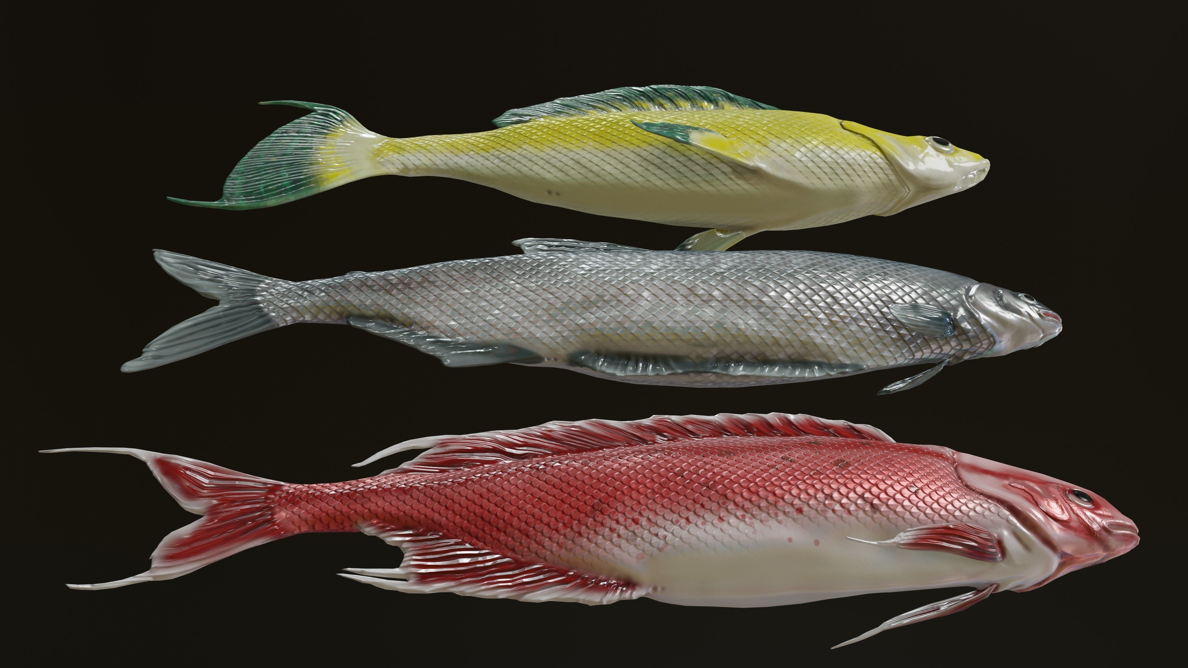 Fish Rigged Low-poly 3D model_22