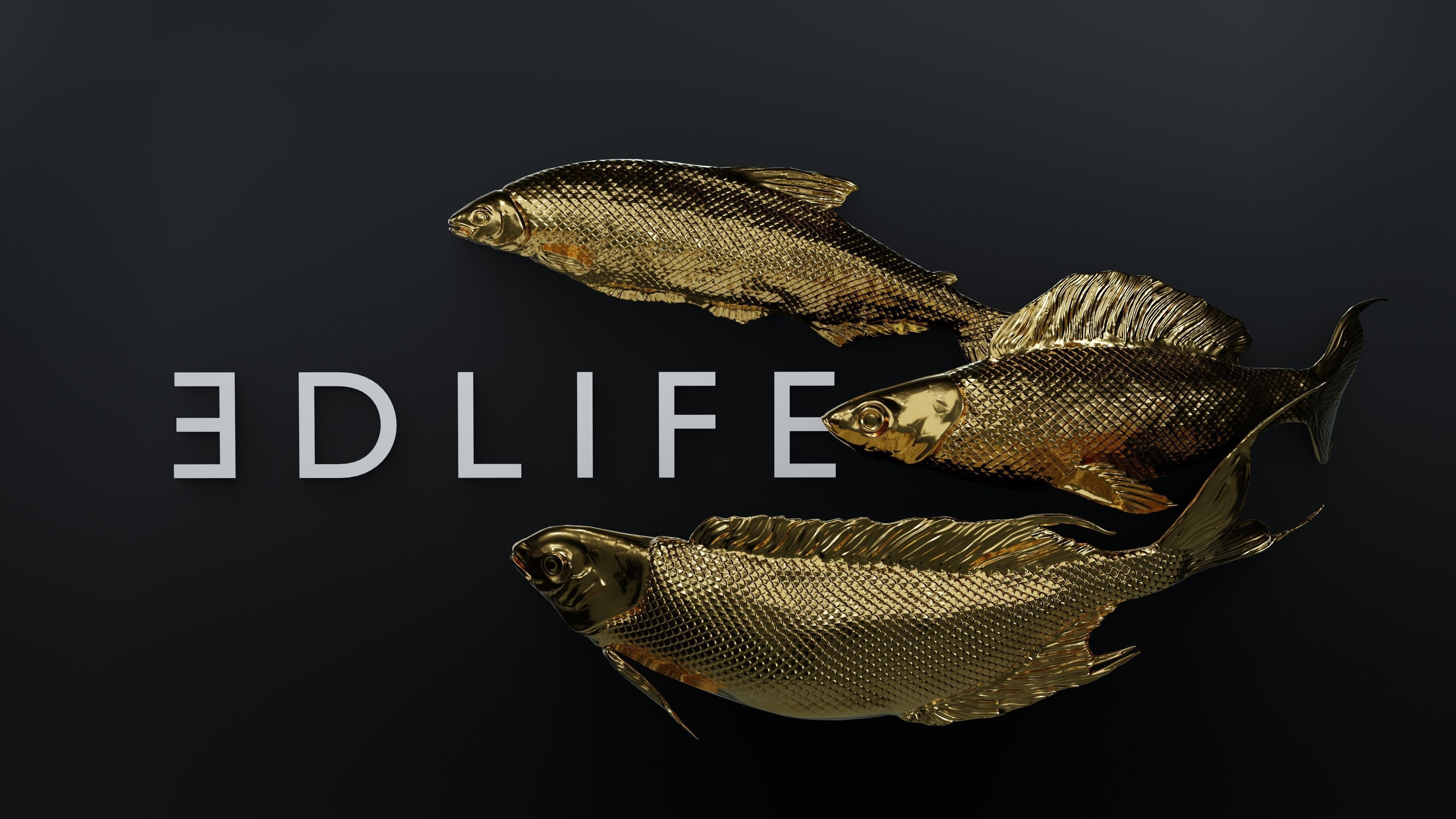 Fish Rigged Low-poly 3D model_7