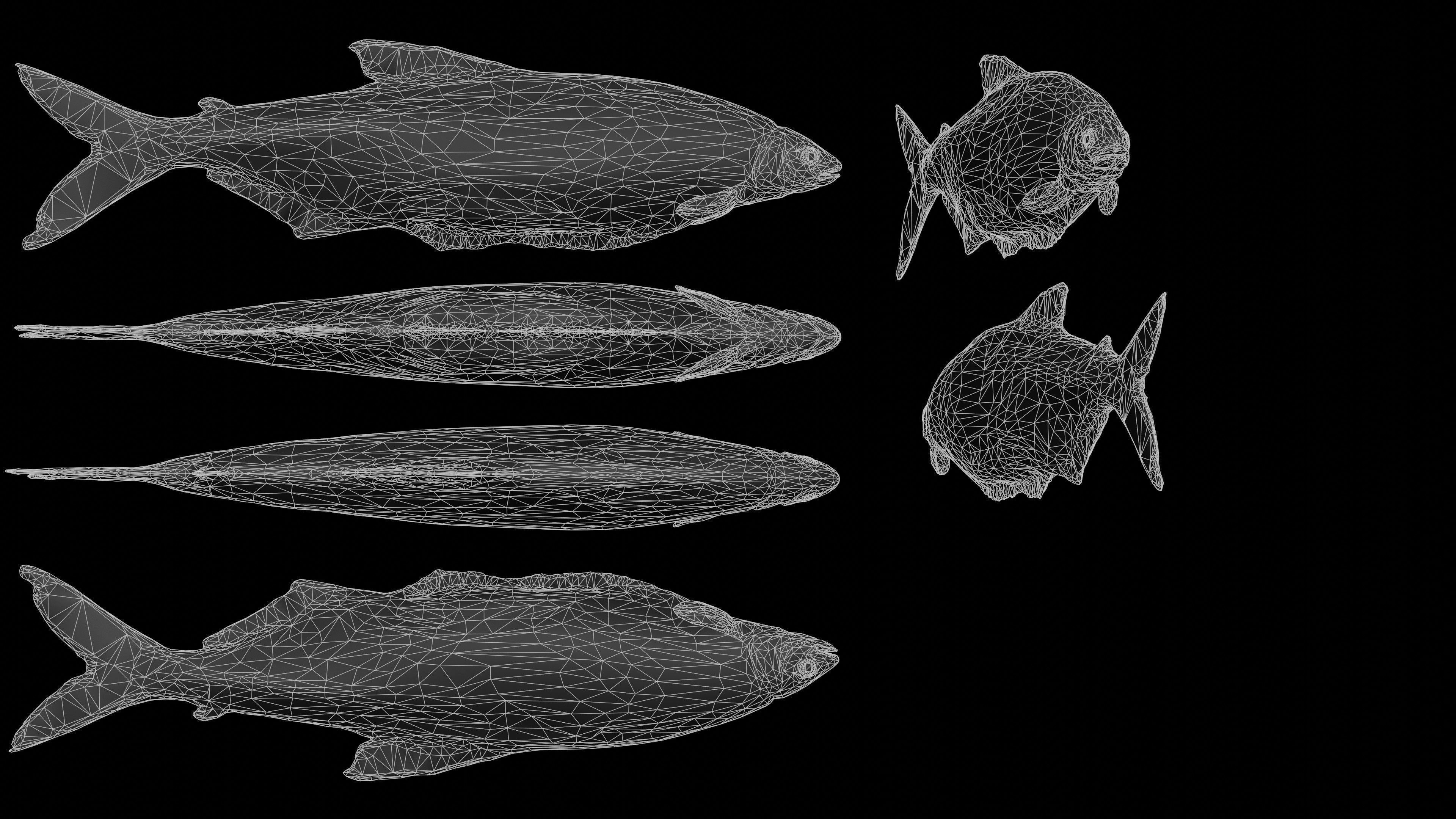 Fish Rigged Low-poly 3D model_28